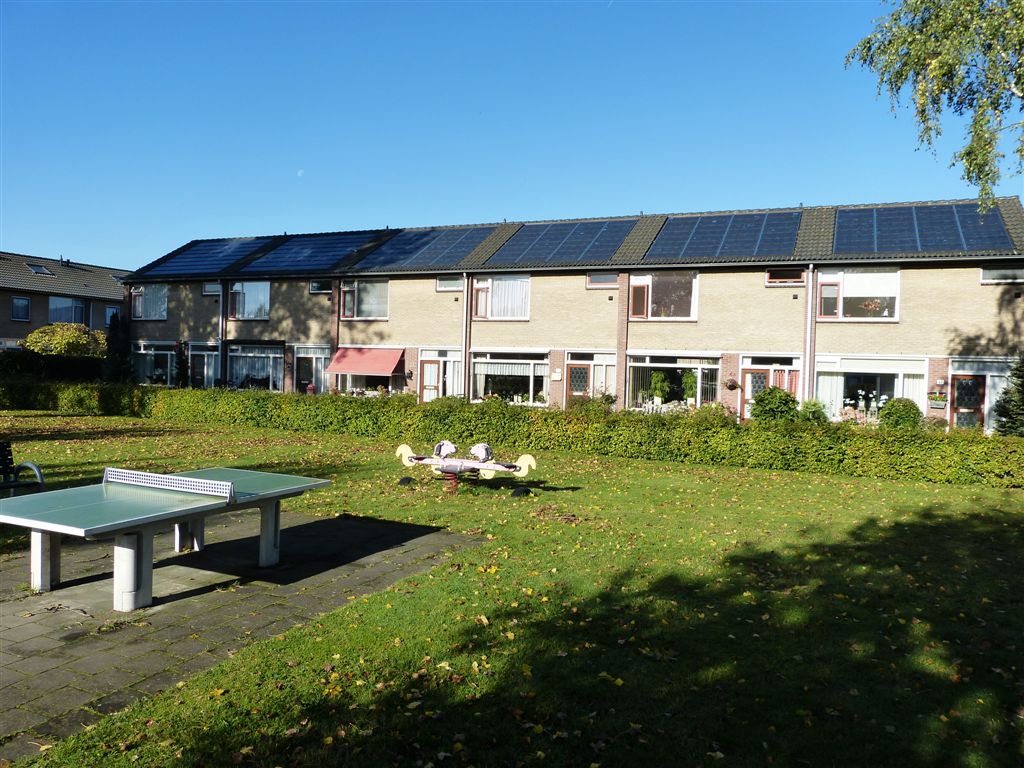 Wijnruitstraat 3