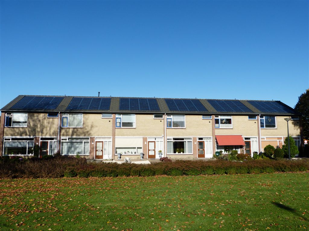 Wijnruitstraat 3