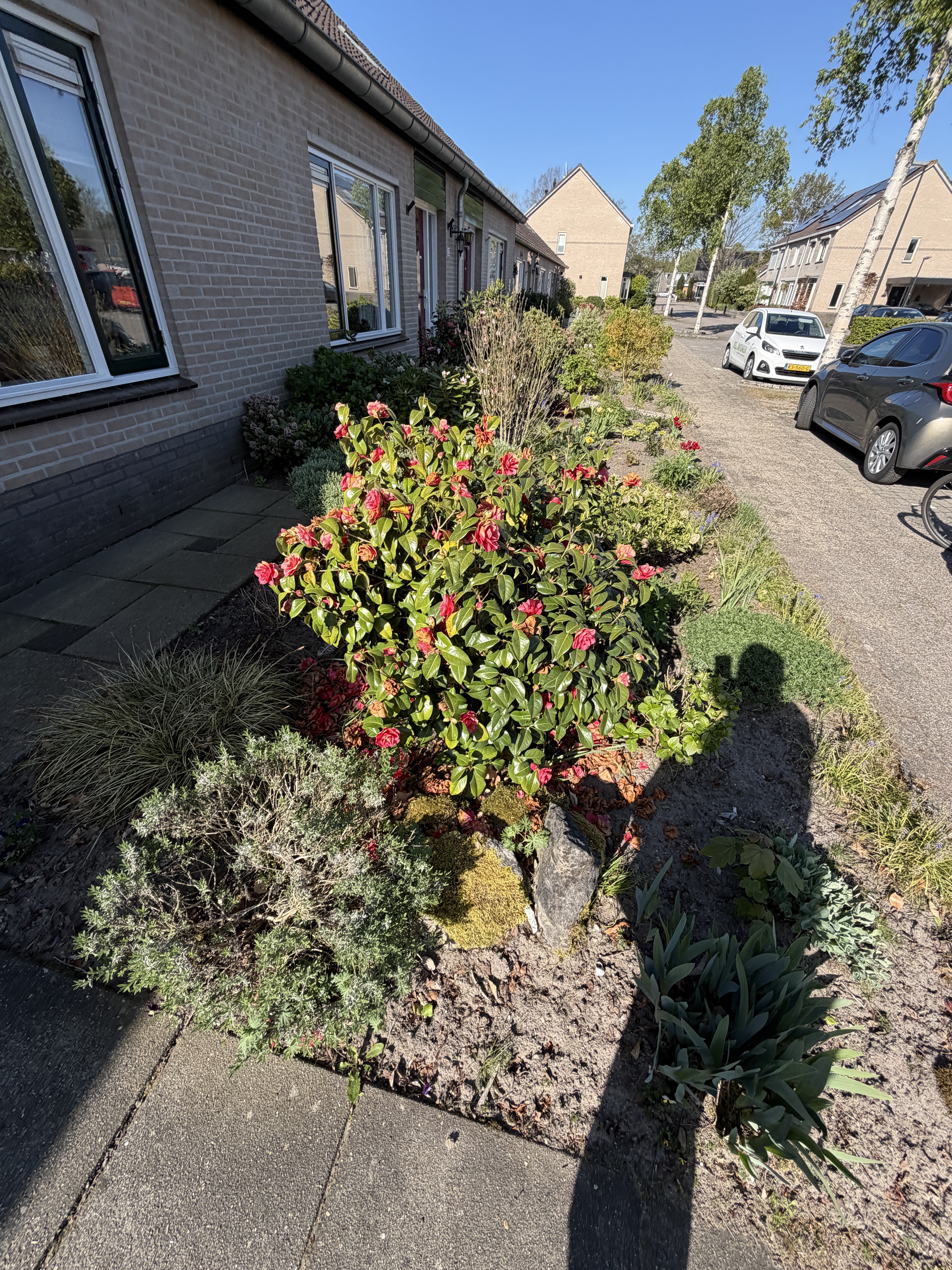 Juffrouw Oosterweg 24