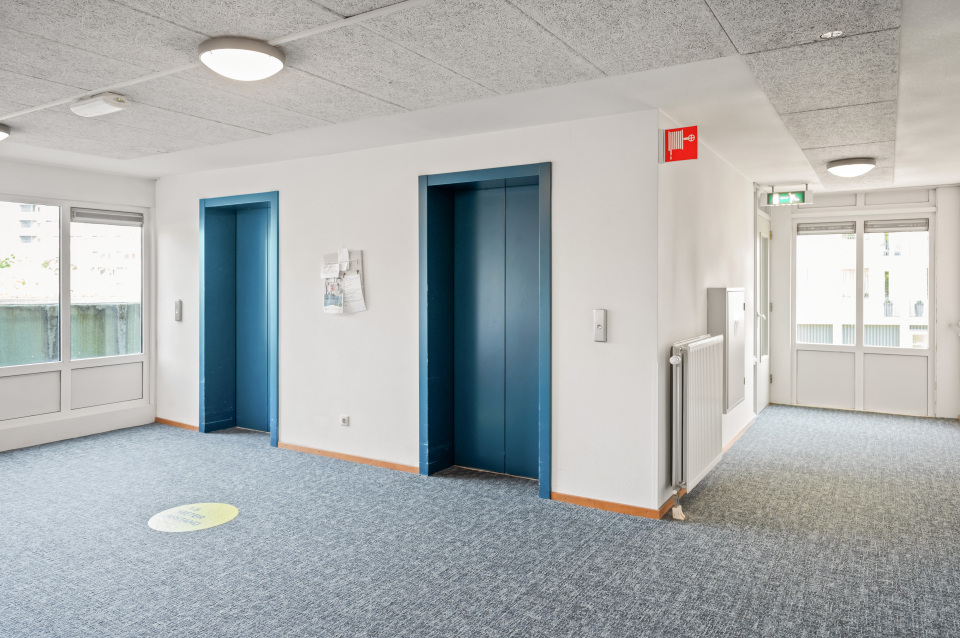 Gemzenstraat 115
