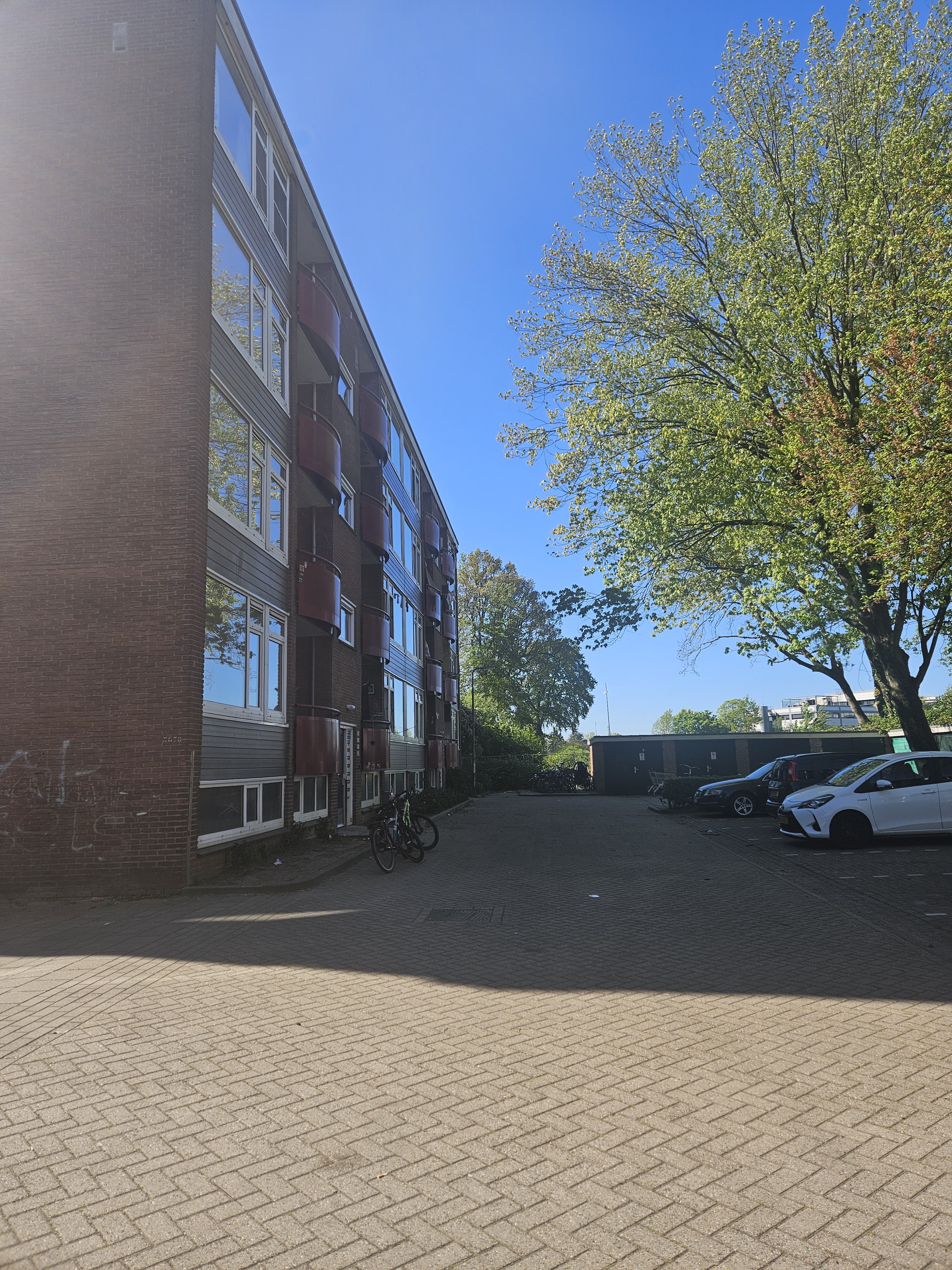 Maasstraat 396