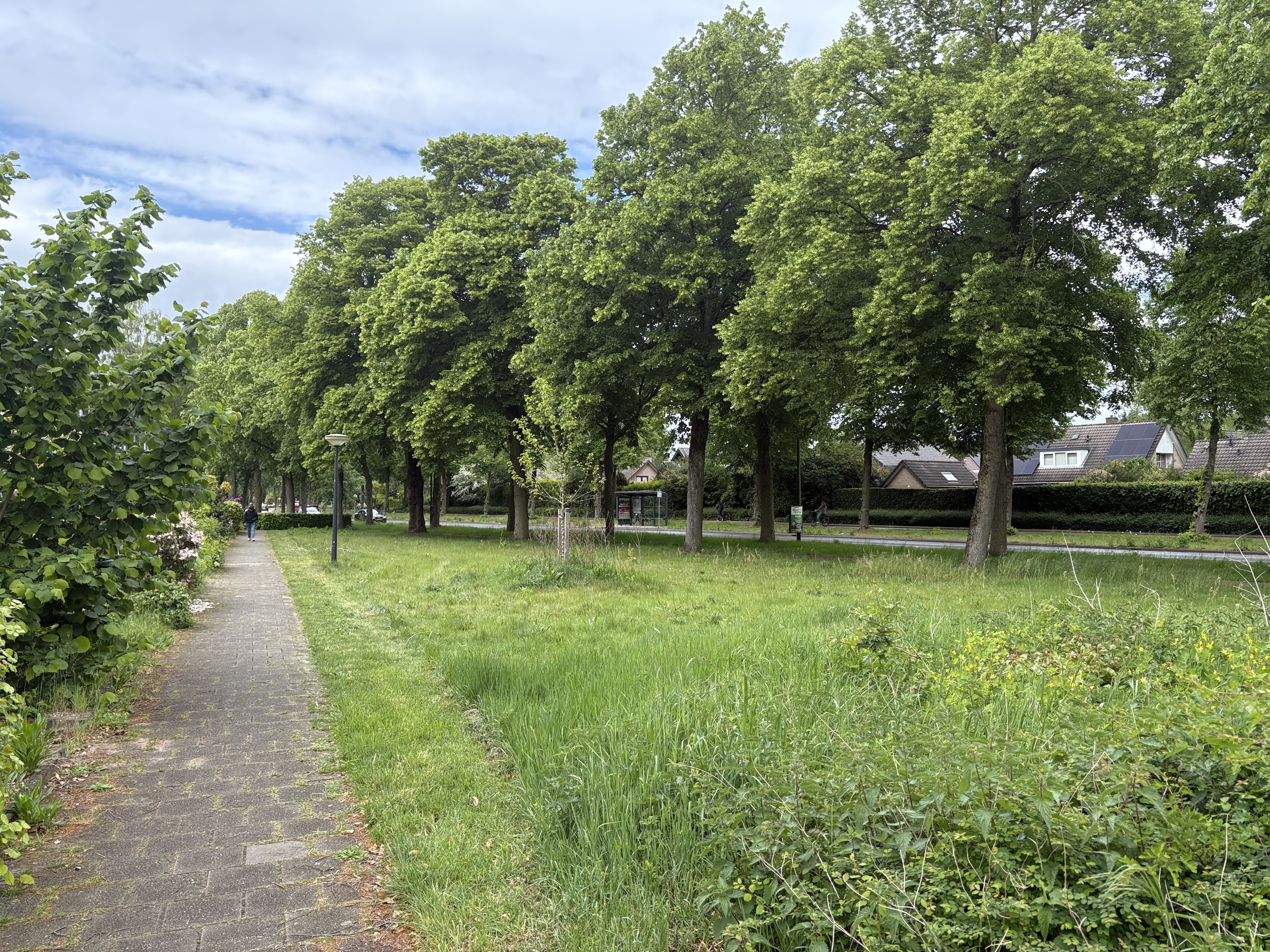 Burgersveld 716