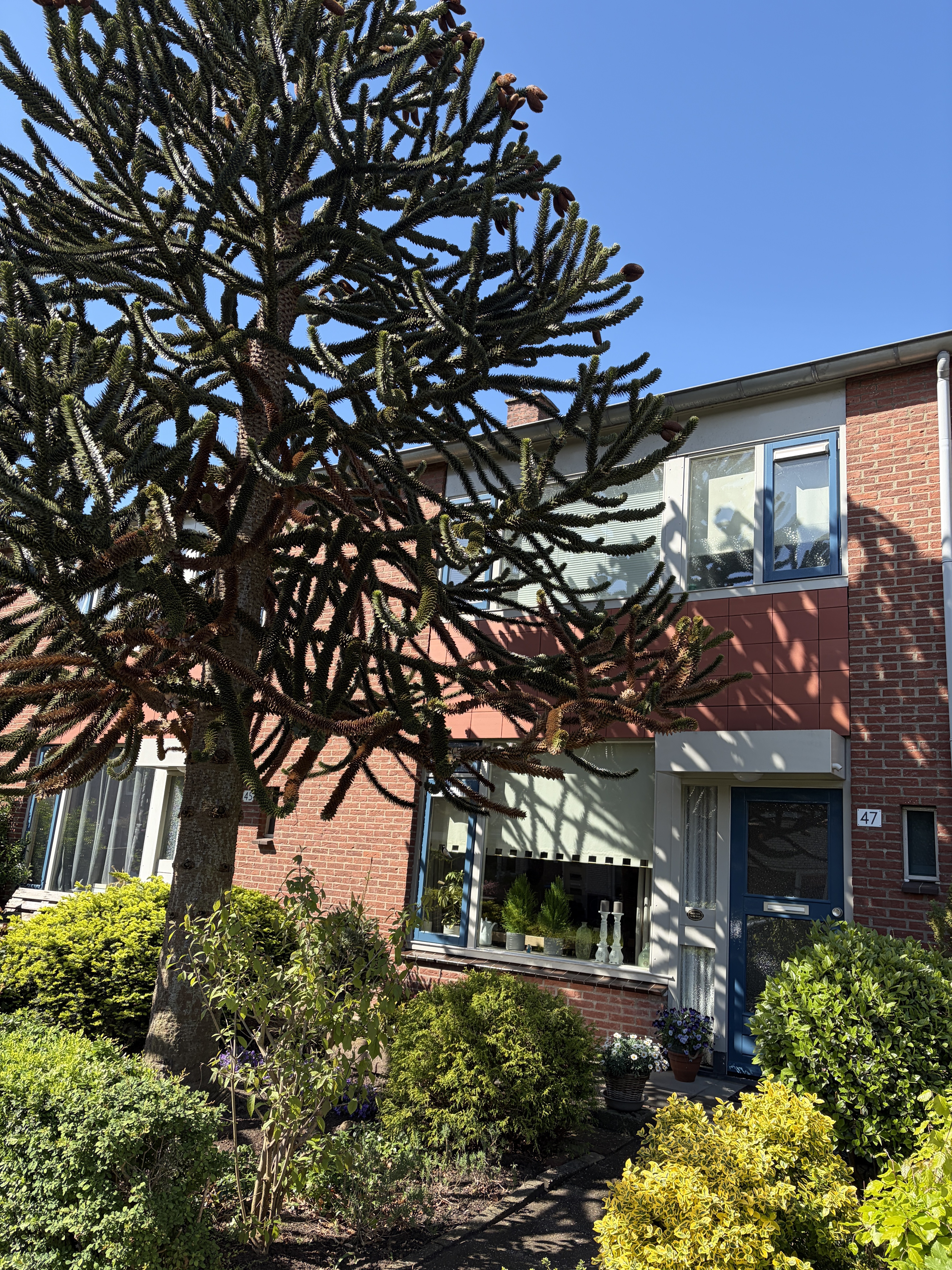 Mezenstraat 47, 6971 XM Brummen, Nederland