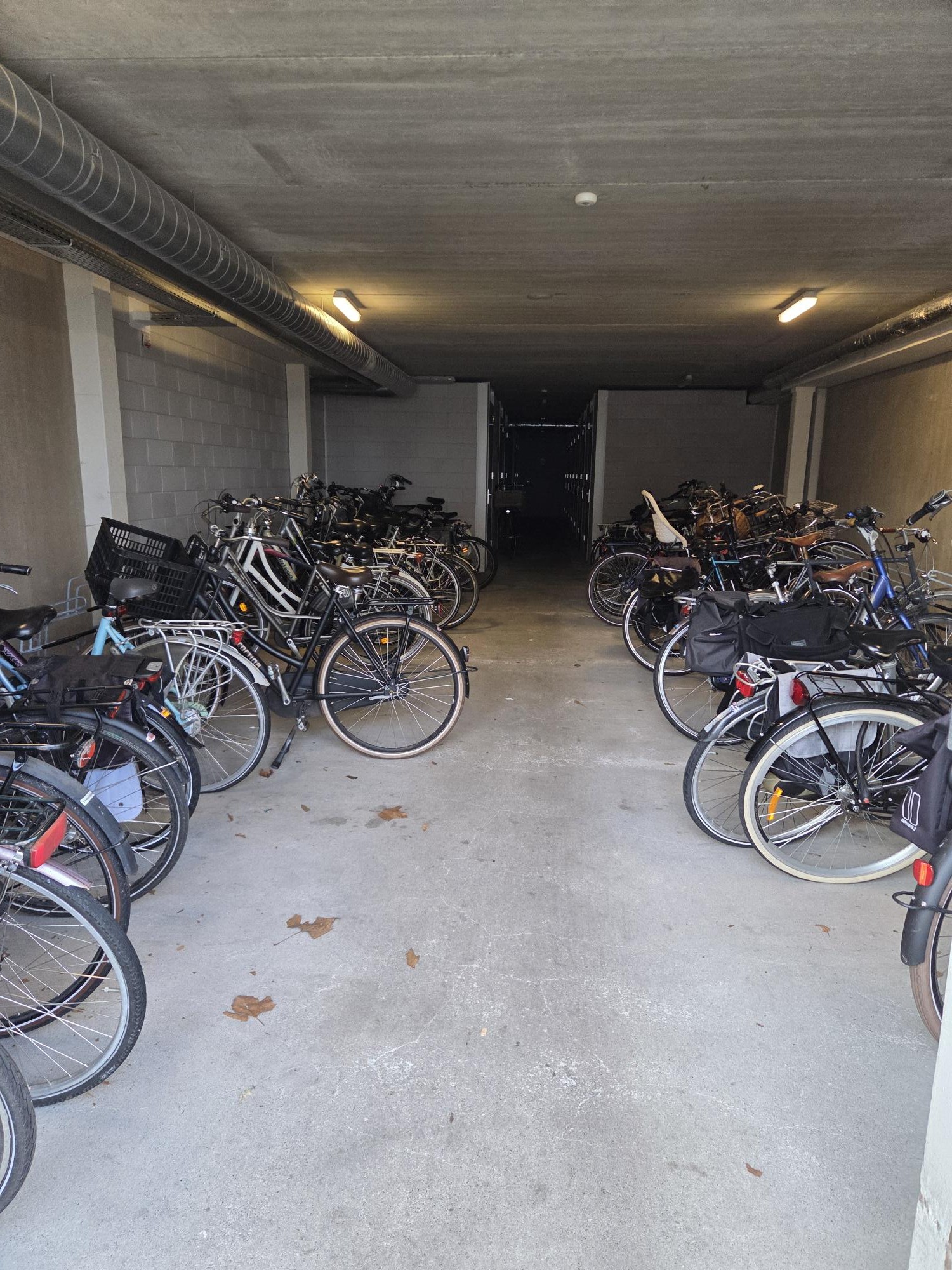 Sontstraat 91