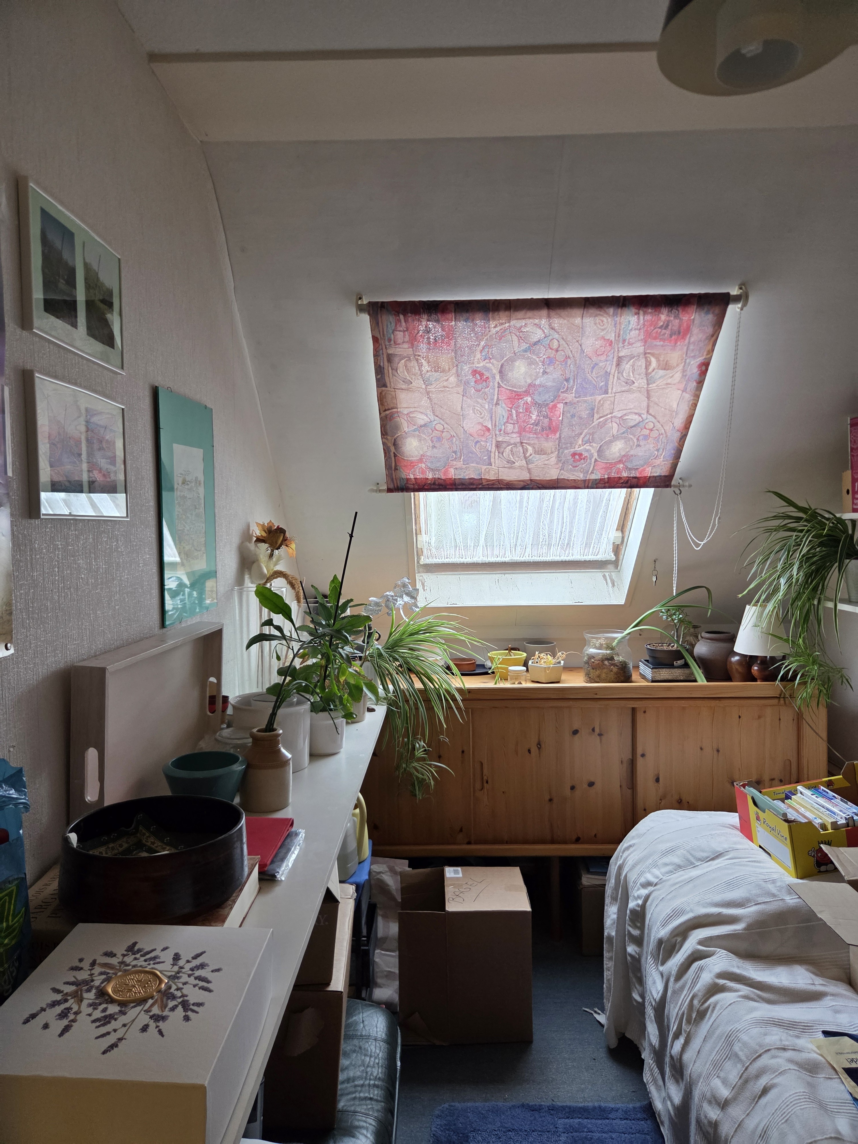 Theo Boschplein 42