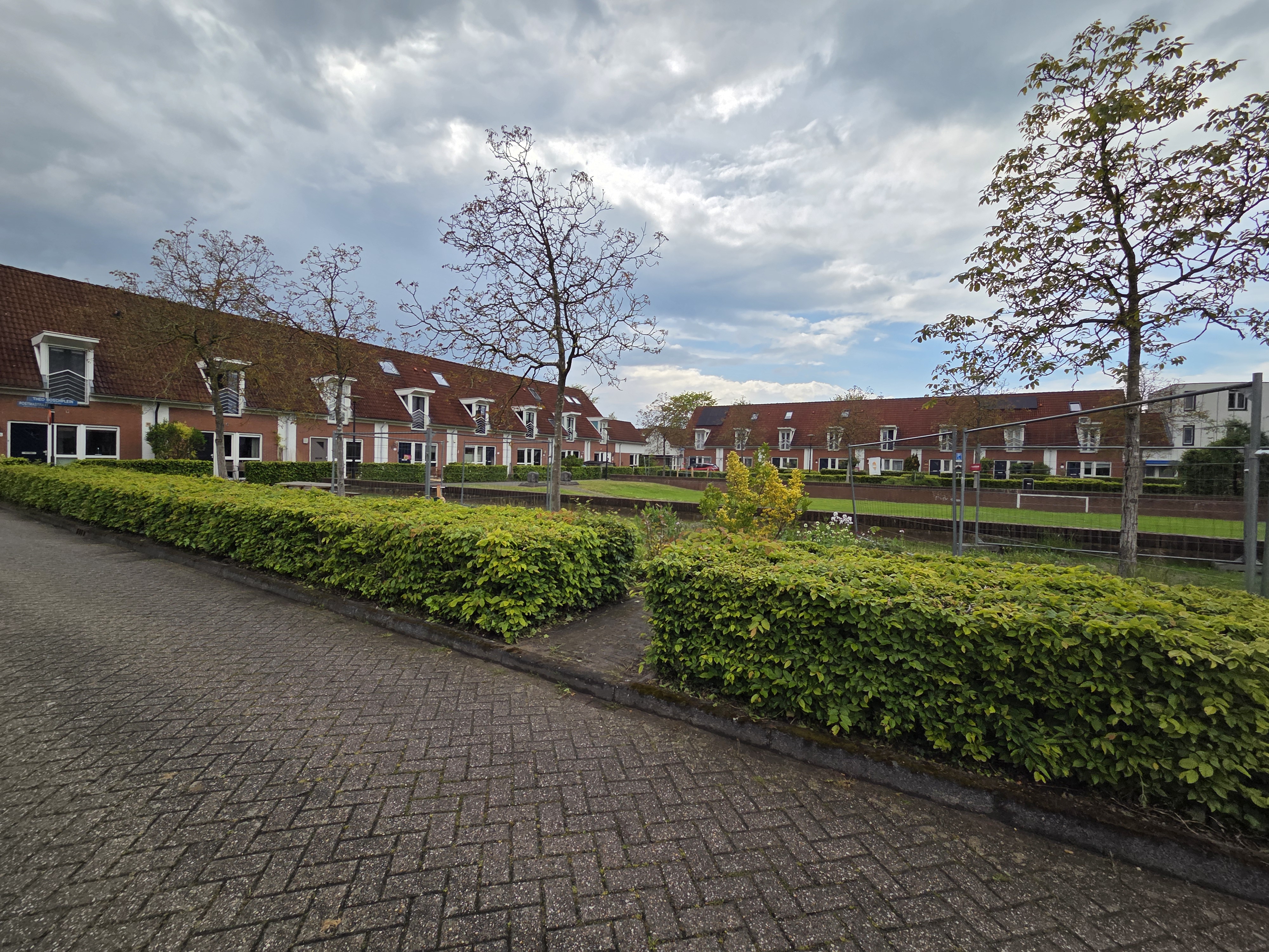 Theo Boschplein 42