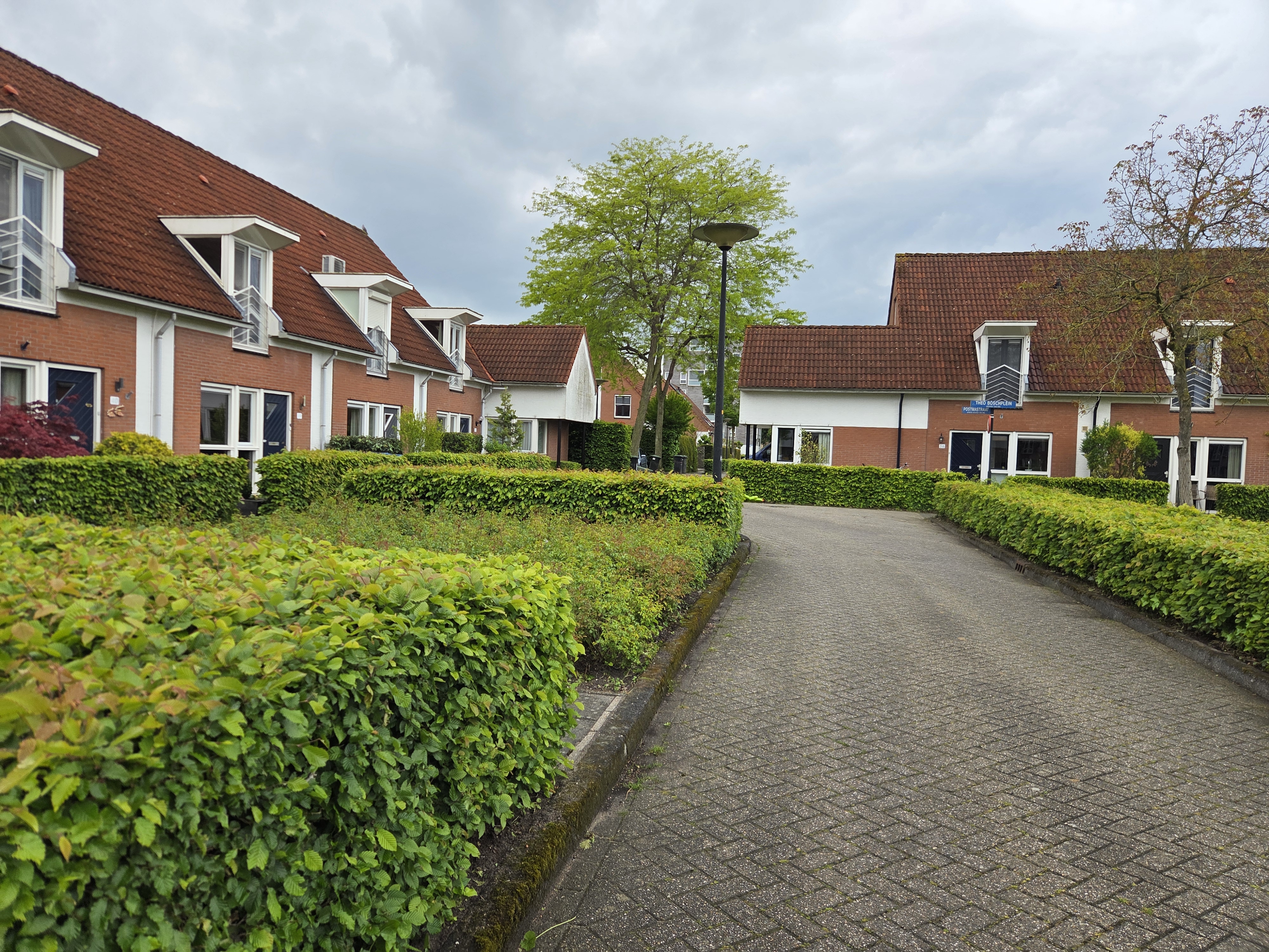 Theo Boschplein 42