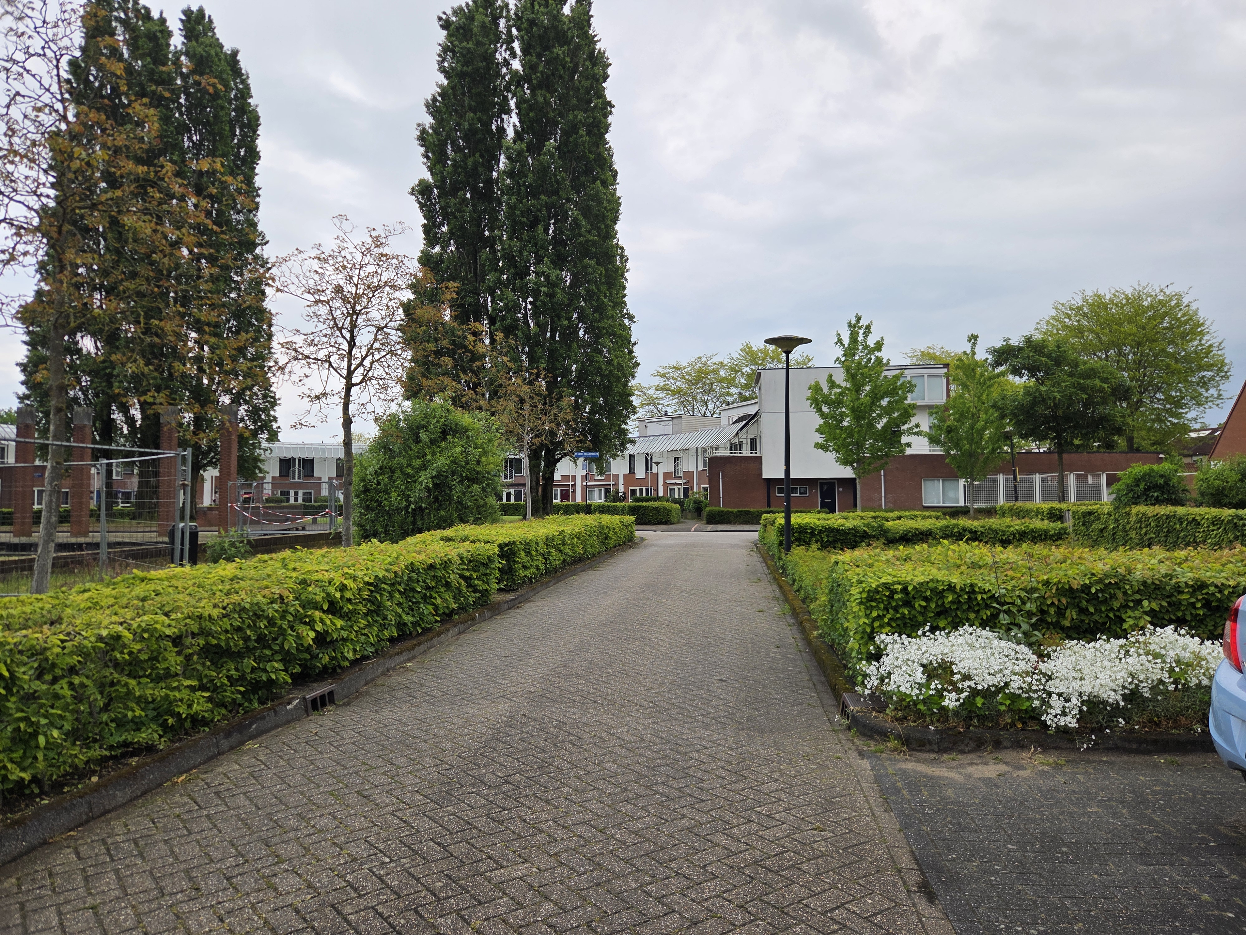 Theo Boschplein 42
