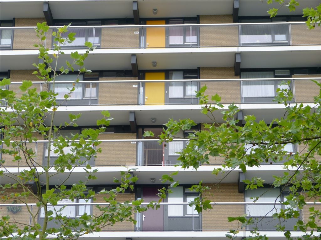 Gentiaanstraat 374