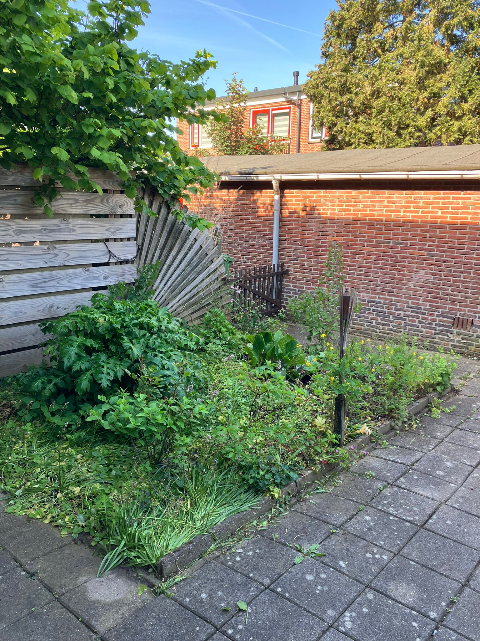 Kappeijne van de Coppellostraat 72