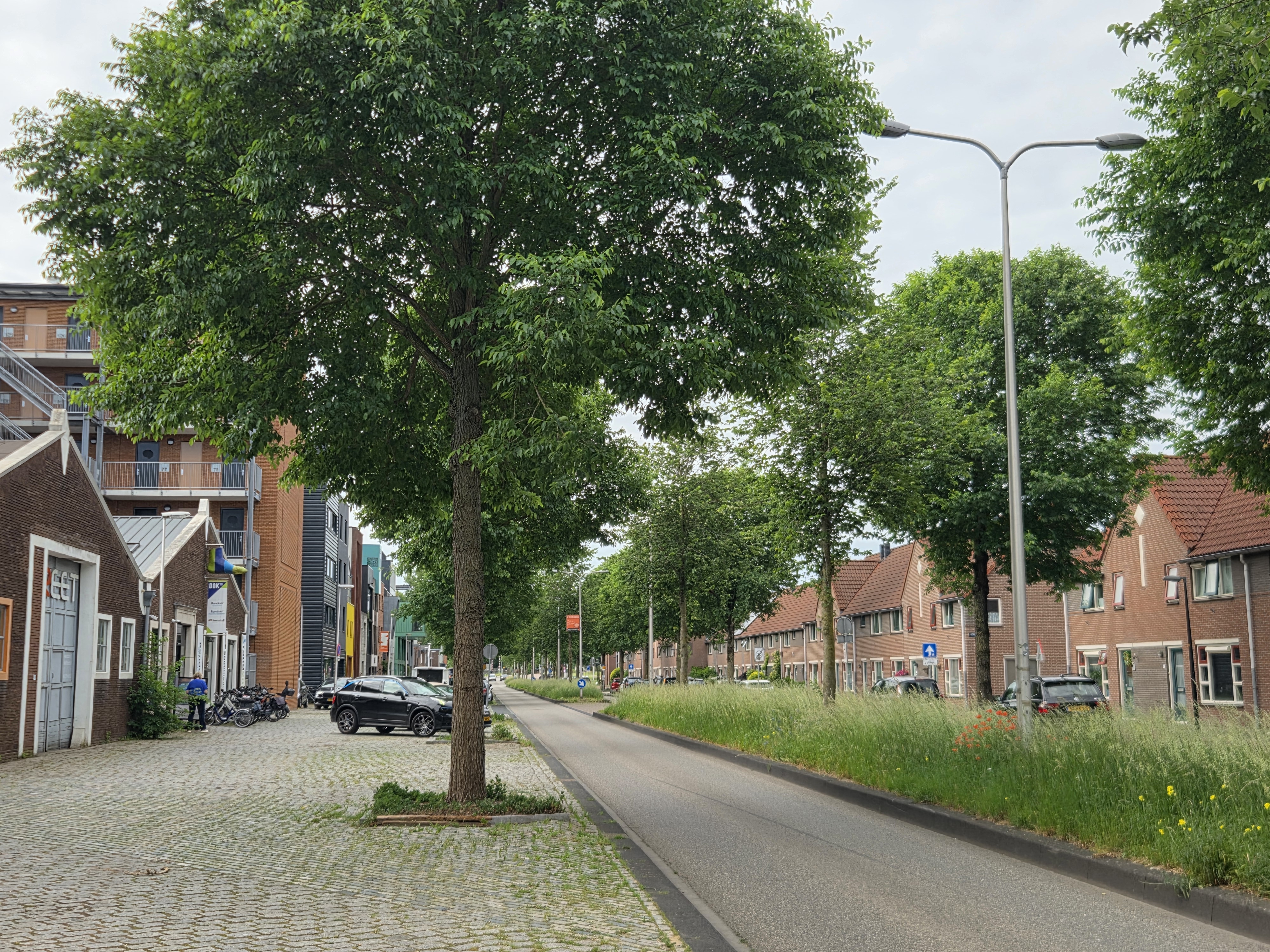 Sontstraat 129