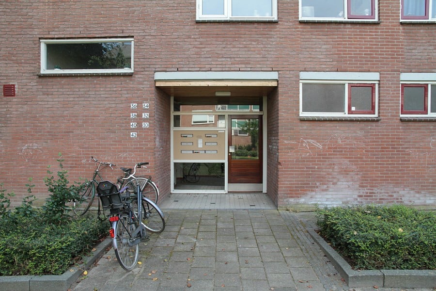 Bukhorst 40