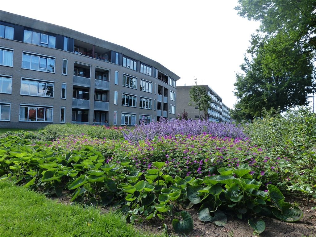 Roekenhof 5