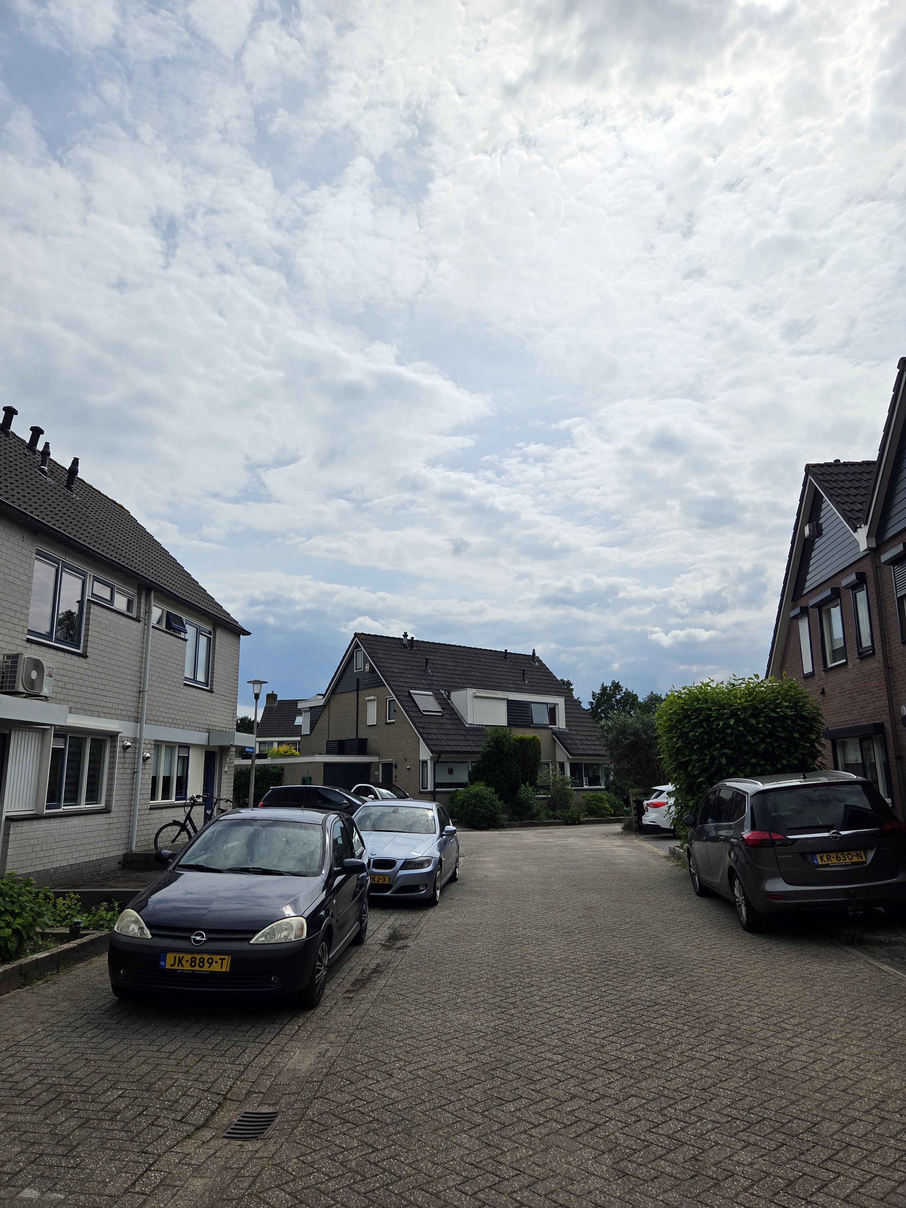 Boksdoorn 10