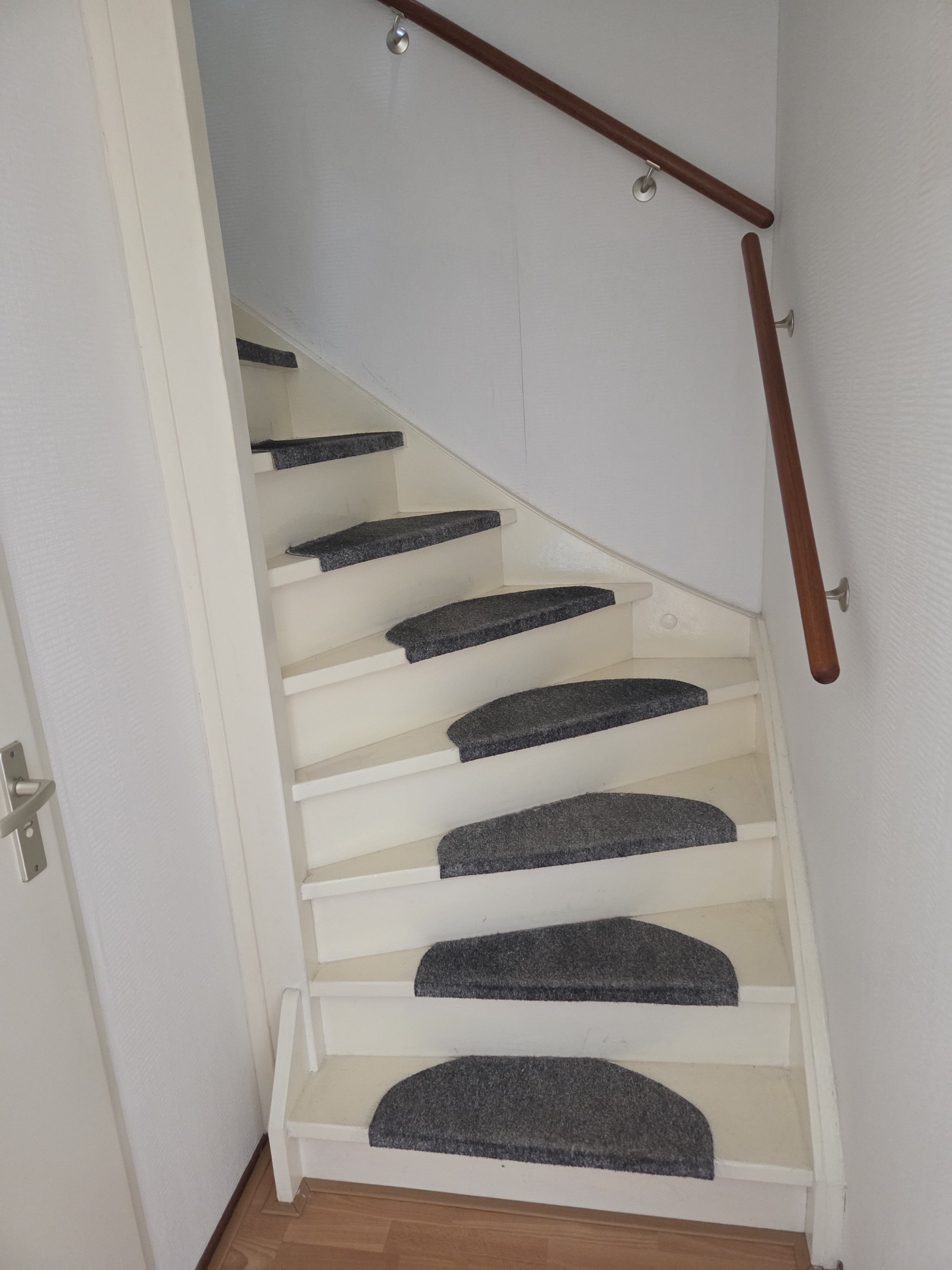 Boksdoorn 10