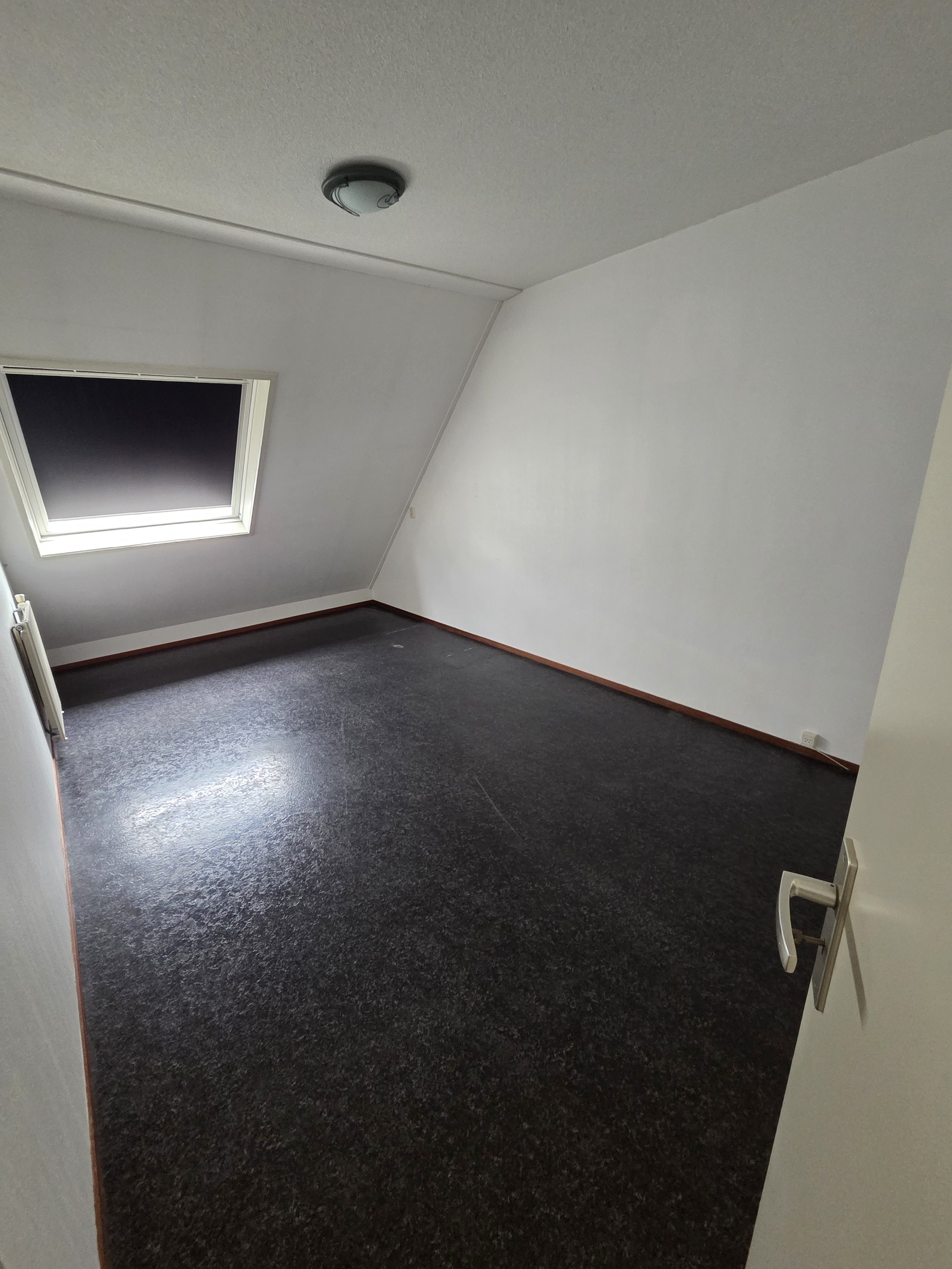 Boksdoorn 10
