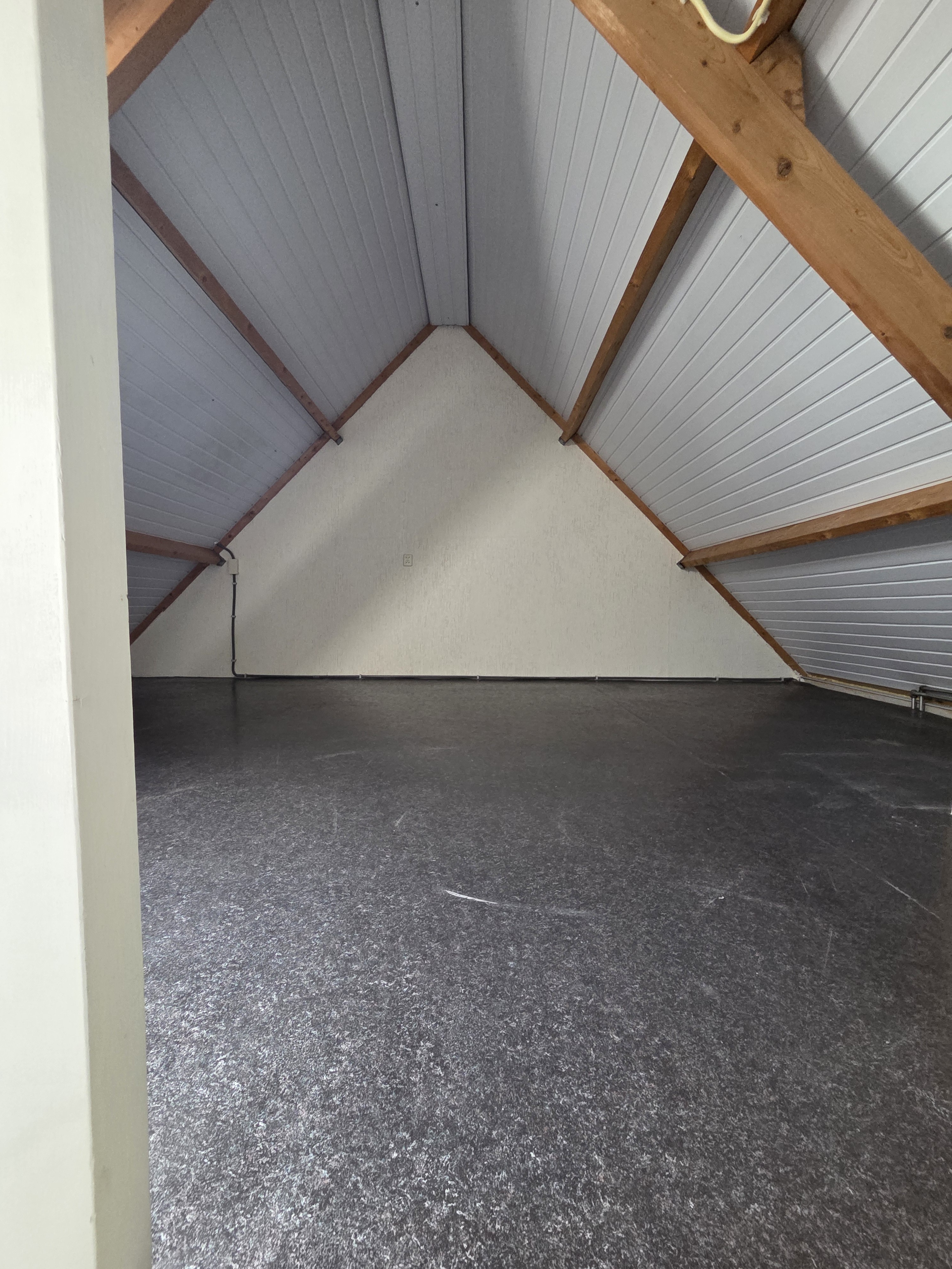 Boksdoorn 10
