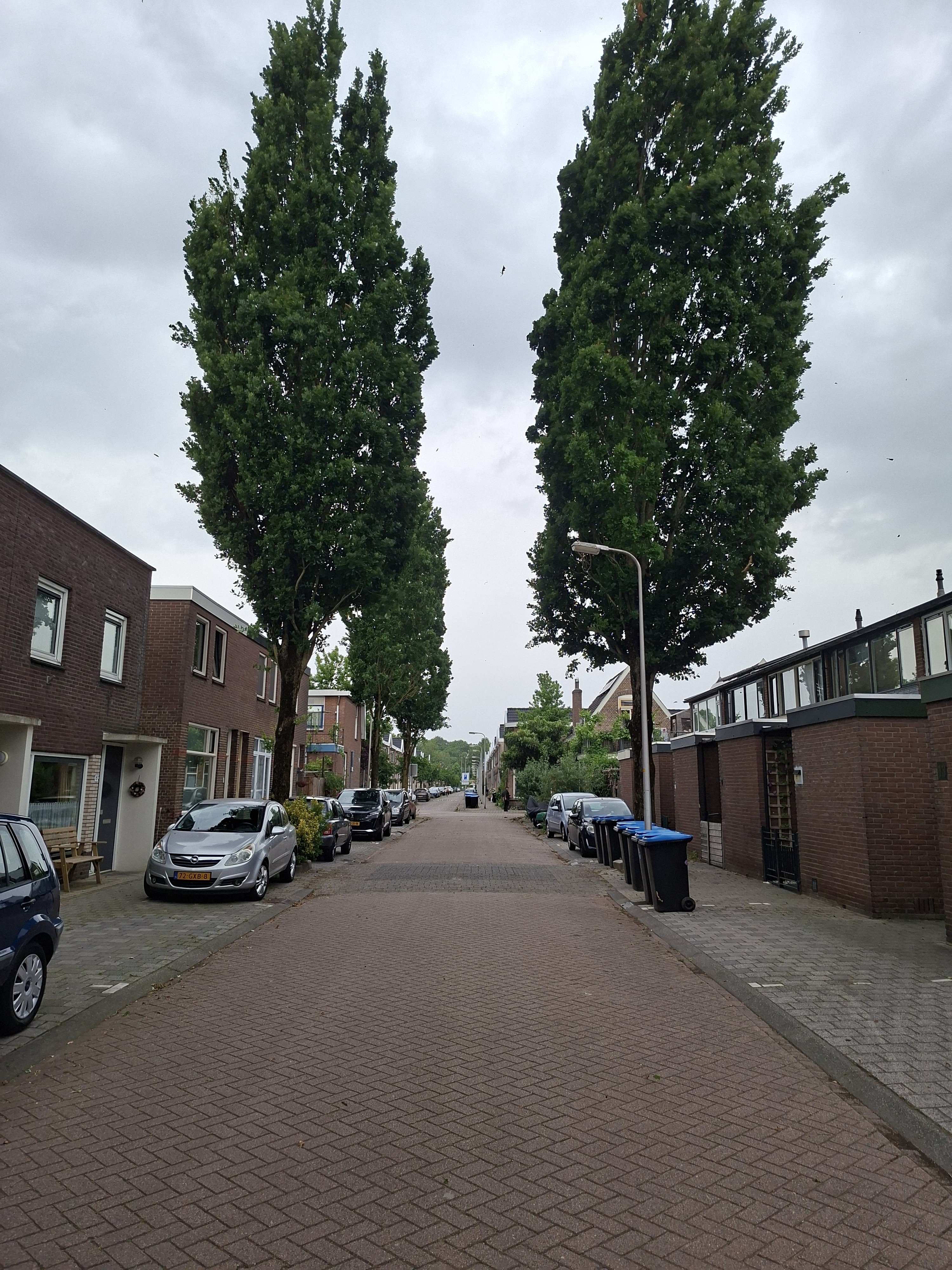 Burgemeester Dumbarstraat 14