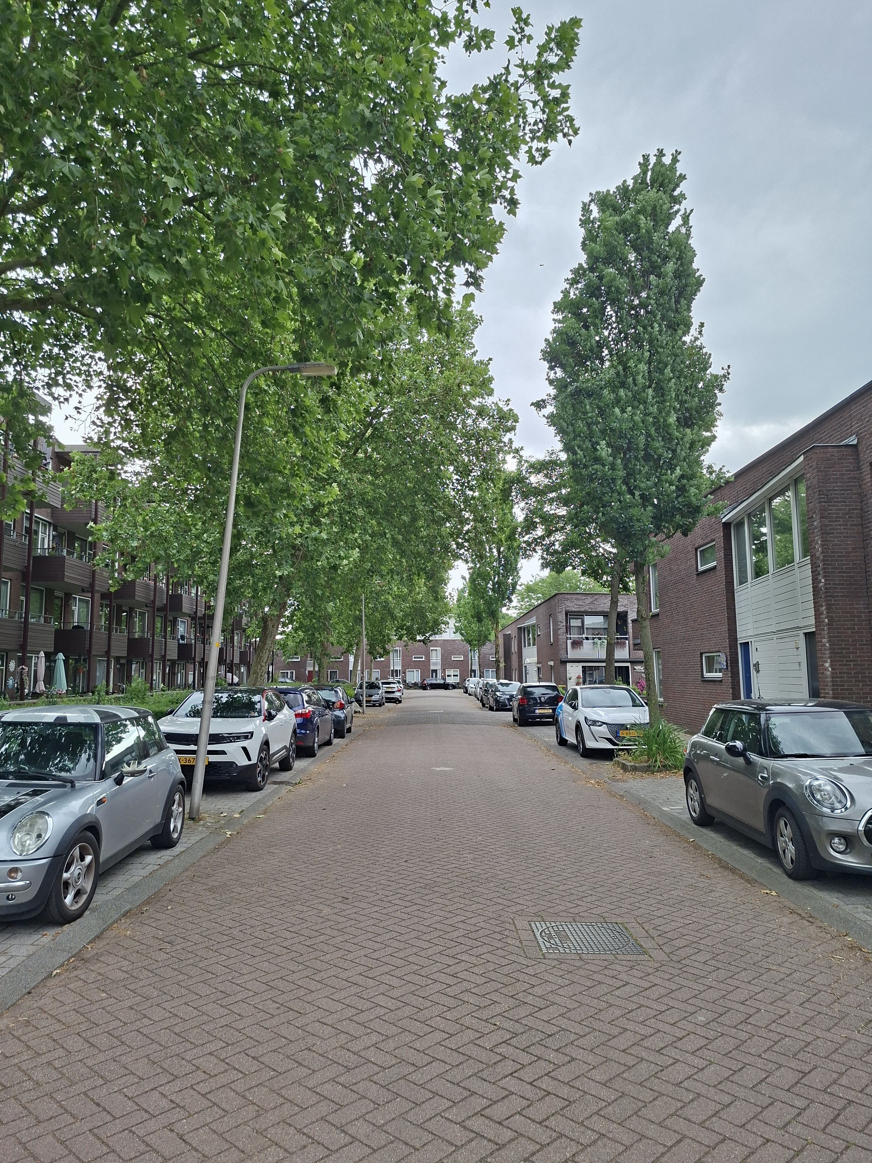 Burgemeester Dumbarstraat 14