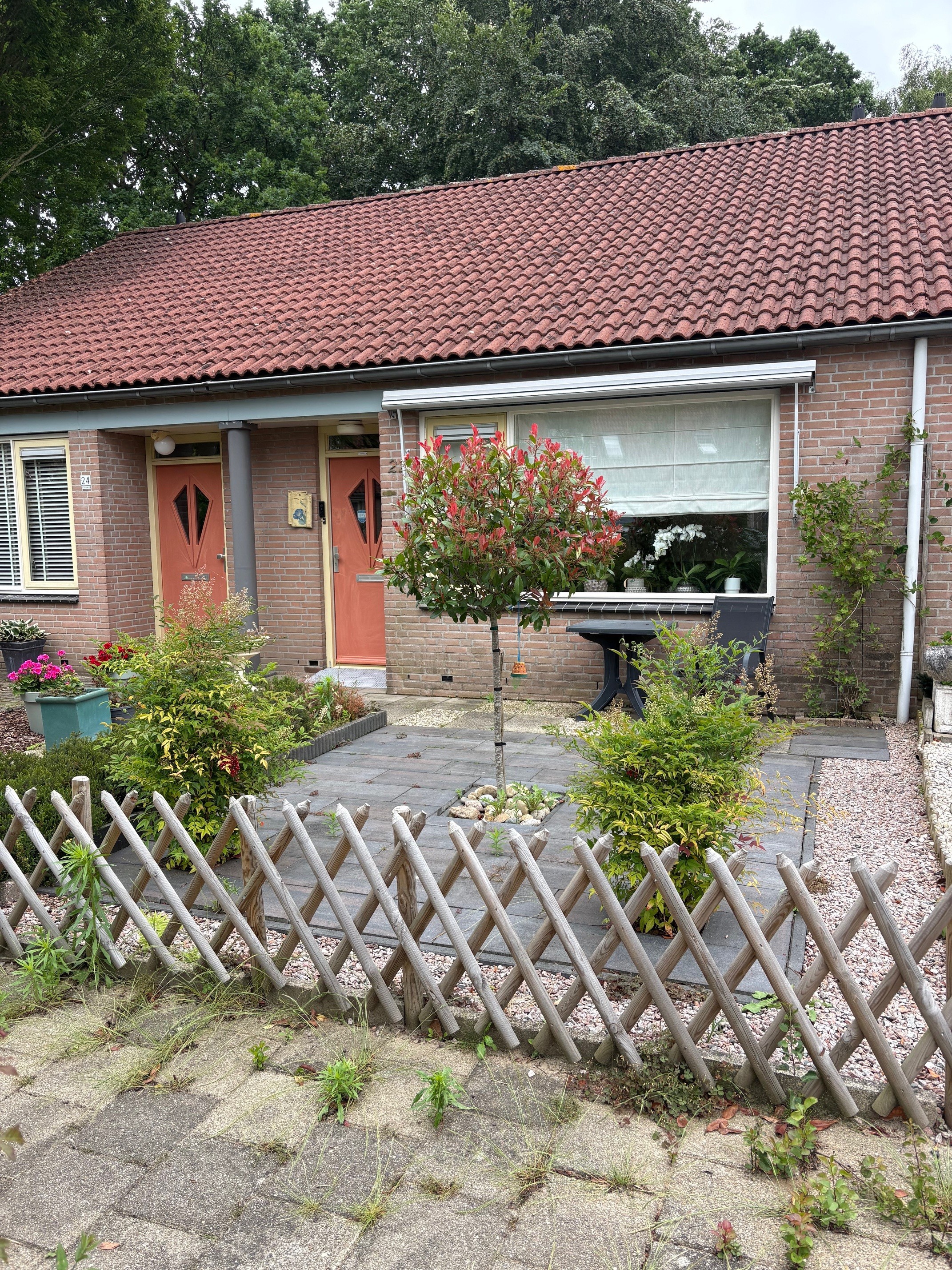 Teunisbloem 22, 7422 SJ Deventer, Nederland