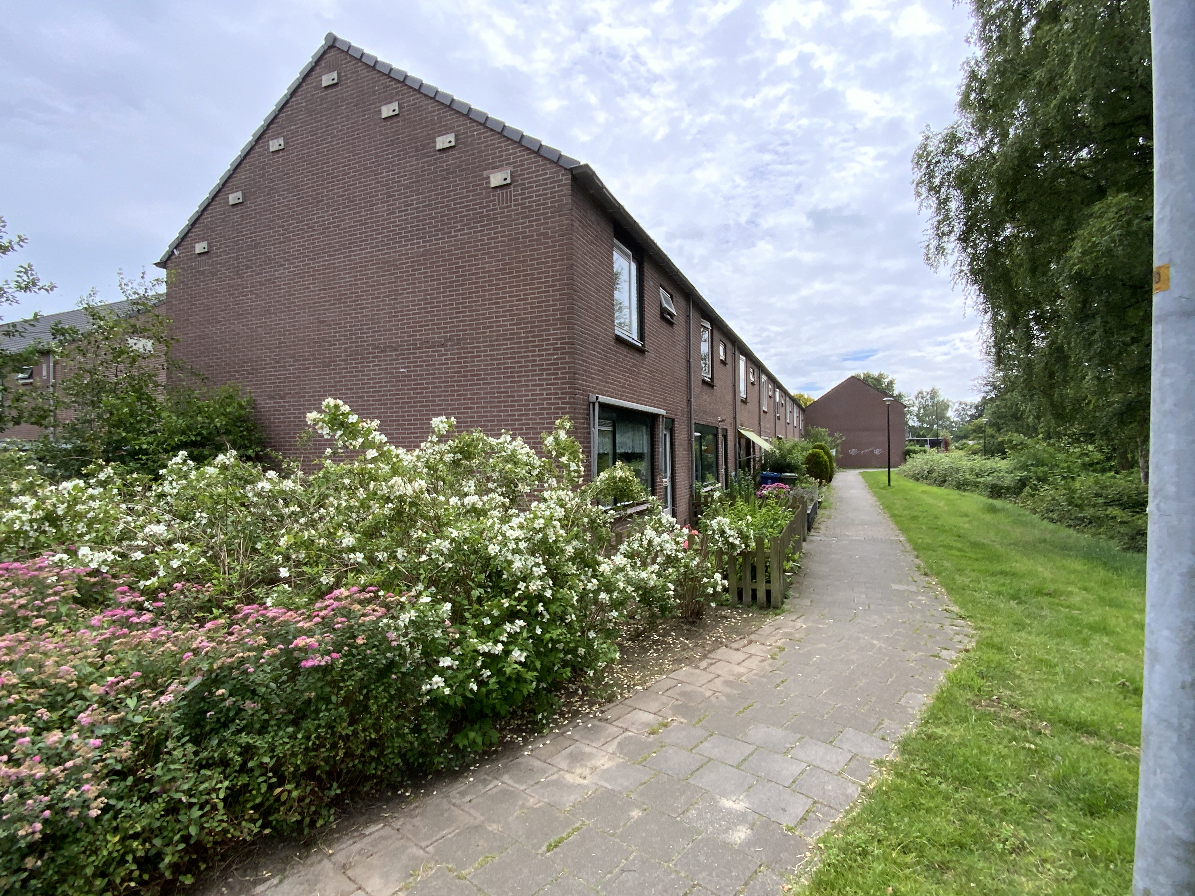 Kruizemuntstraat 587