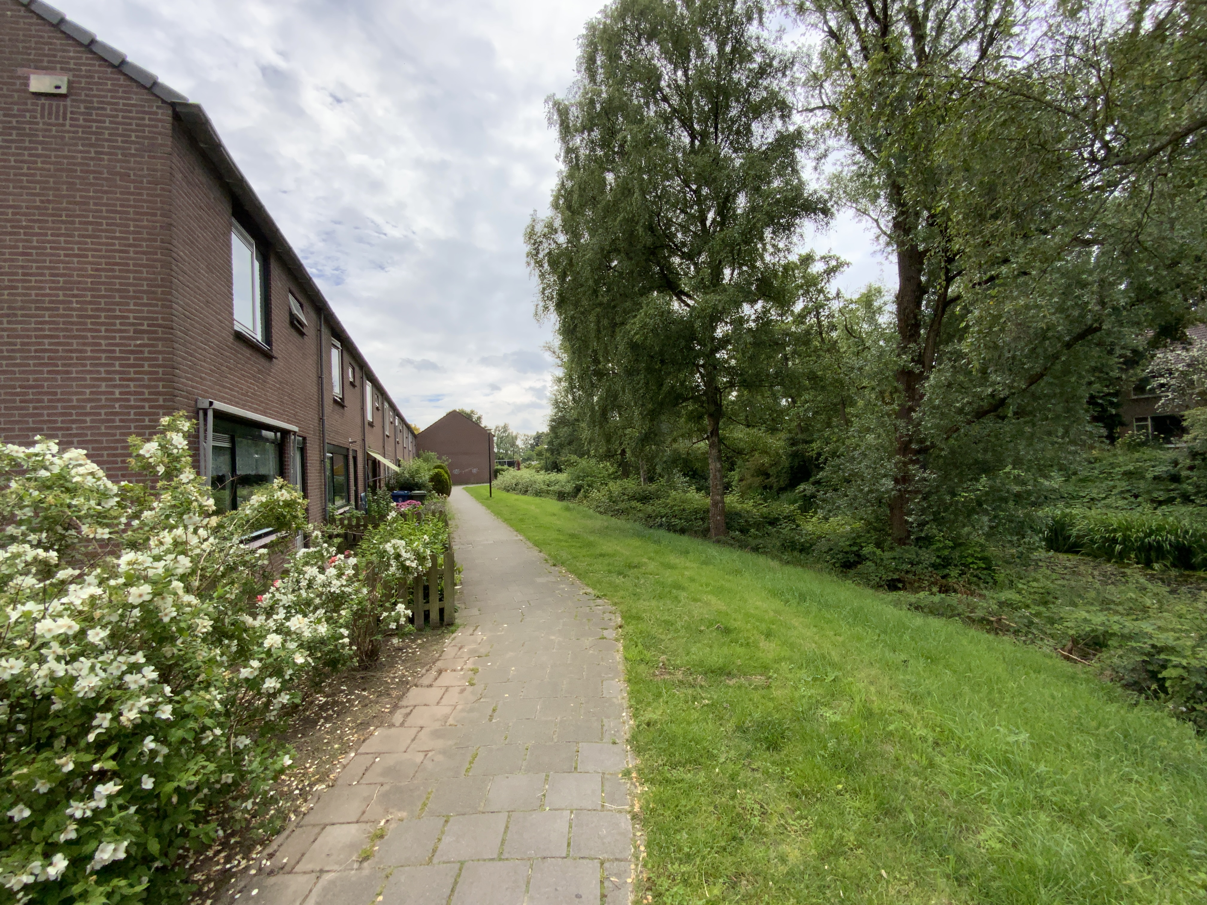Kruizemuntstraat 587