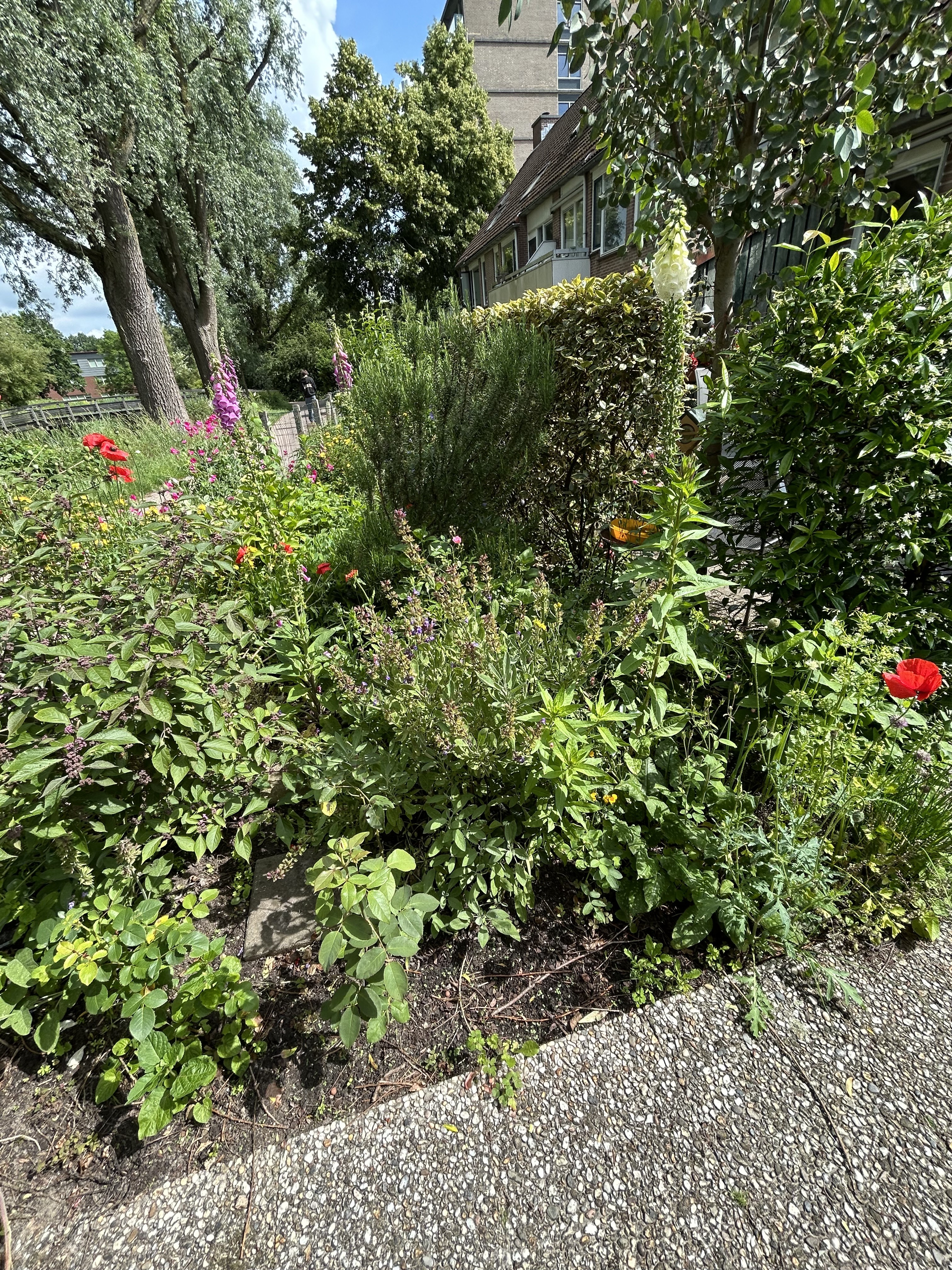 De Brink 64