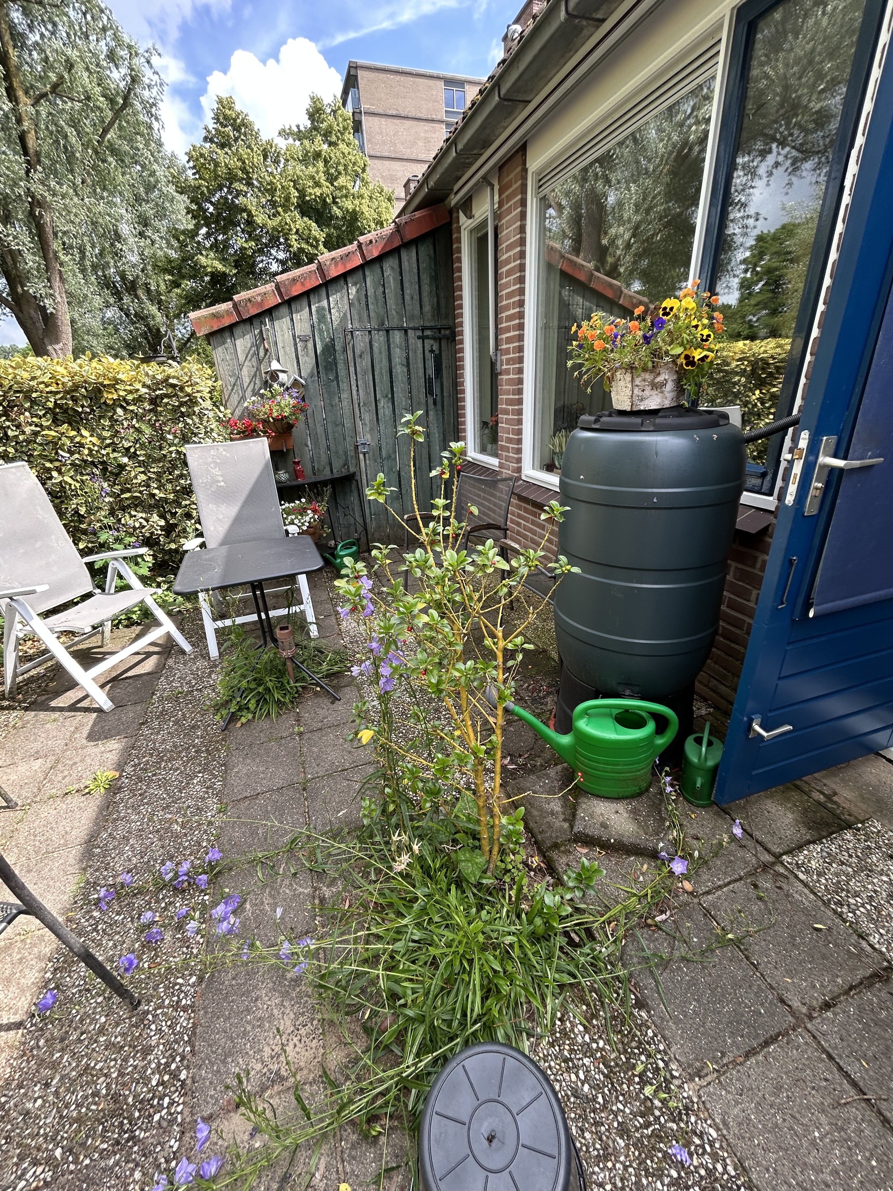 De Brink 64