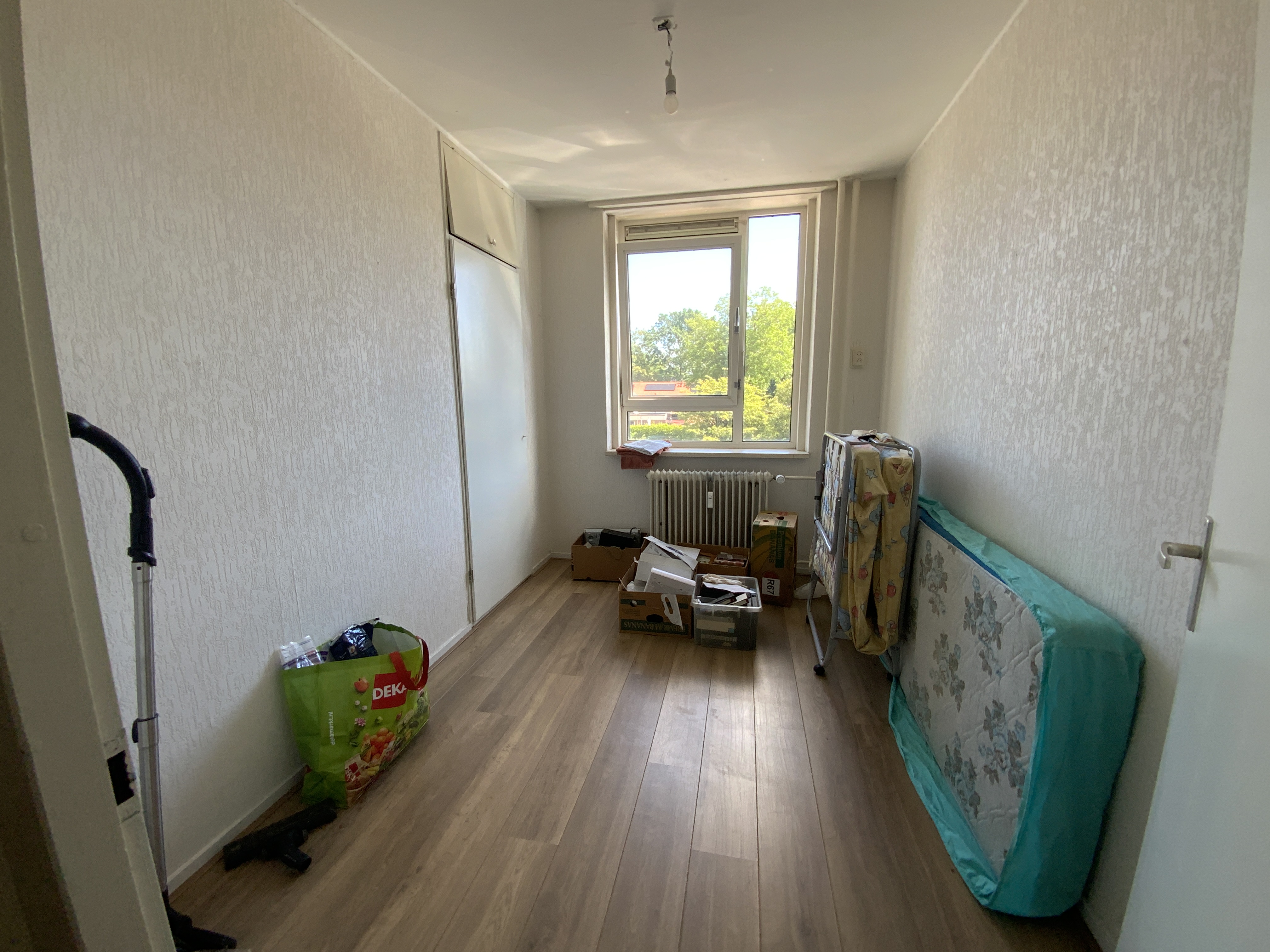 Boterbloem 26