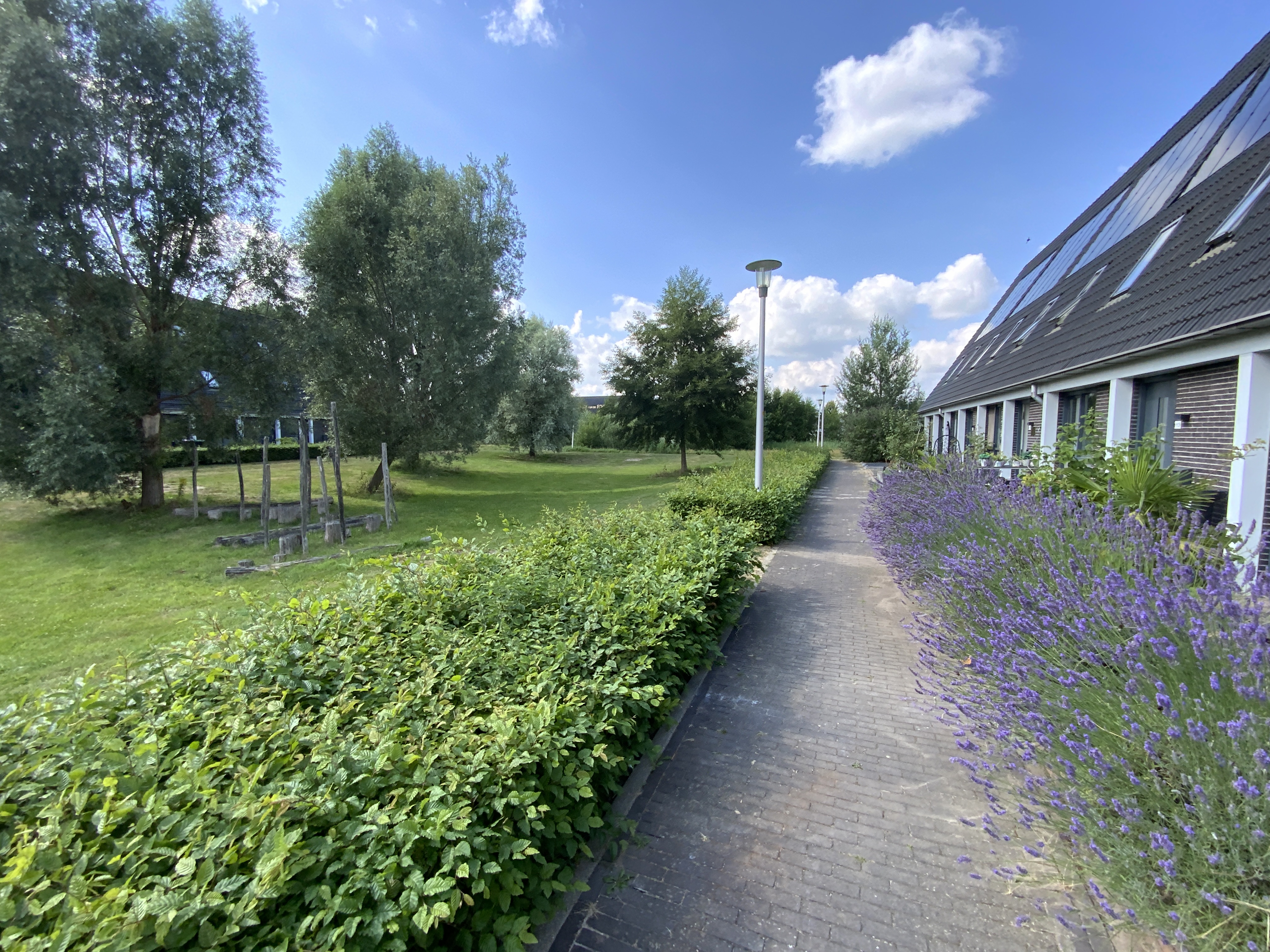 Korrelhoed 115