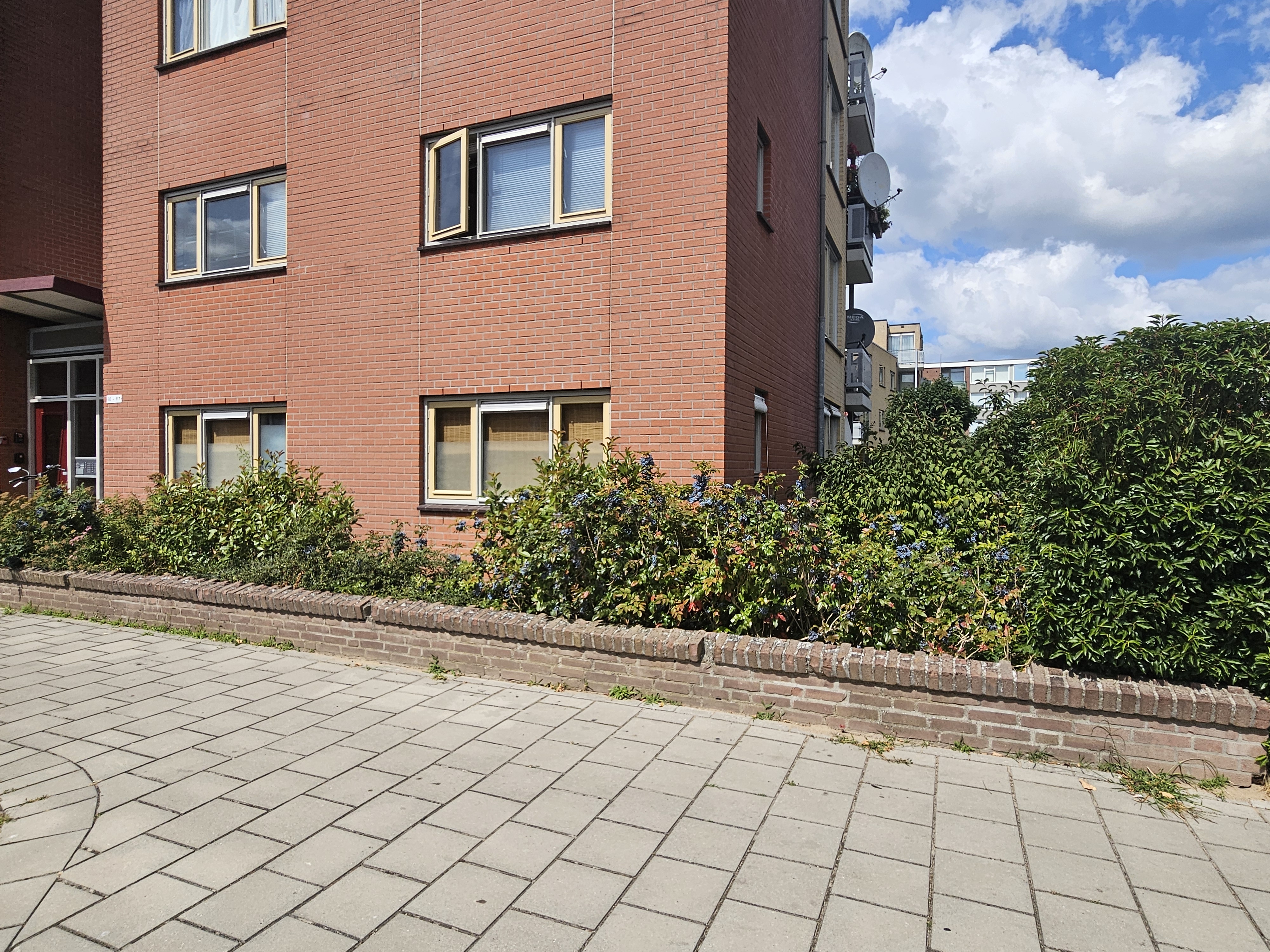 Maasstraat 95