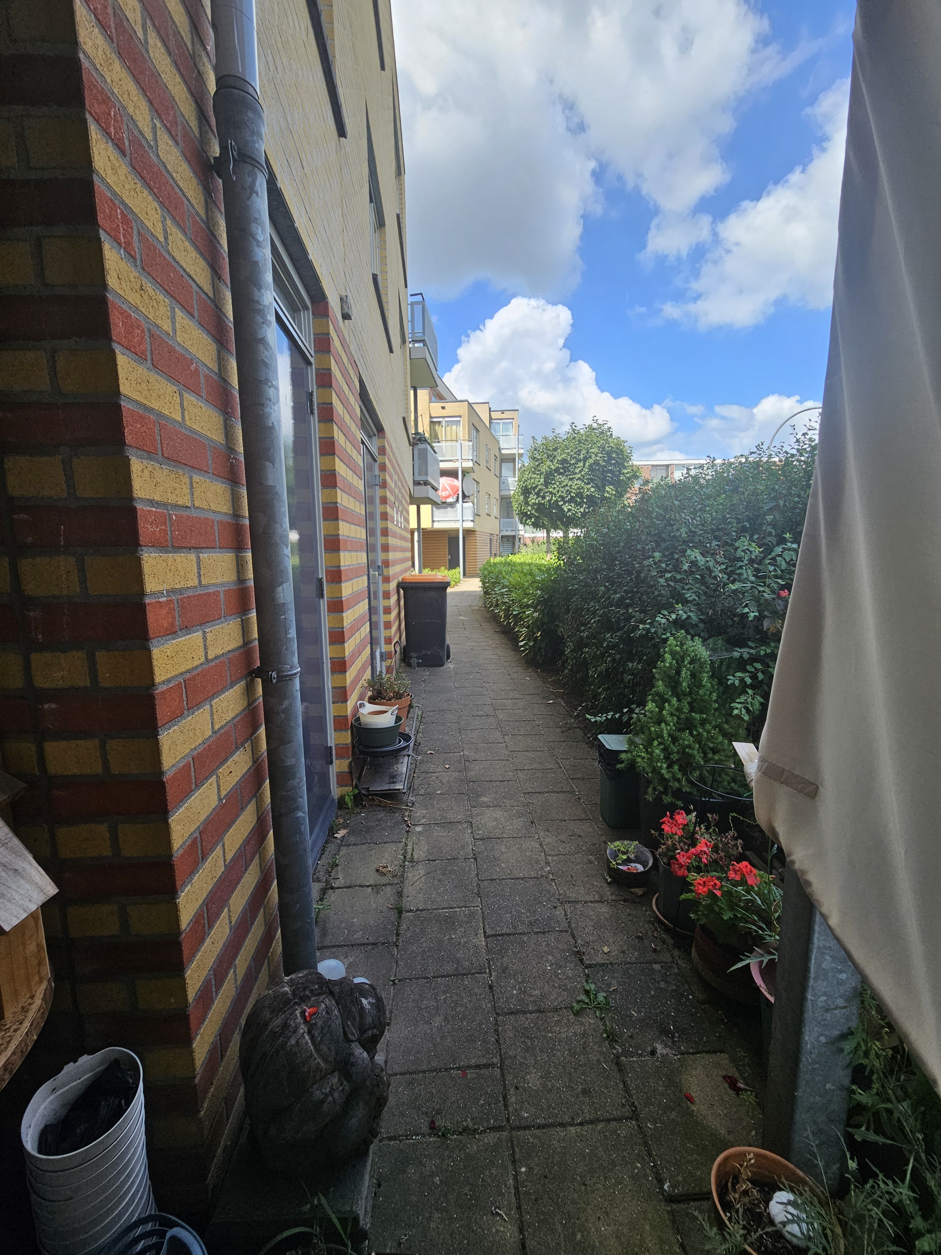 Maasstraat 95
