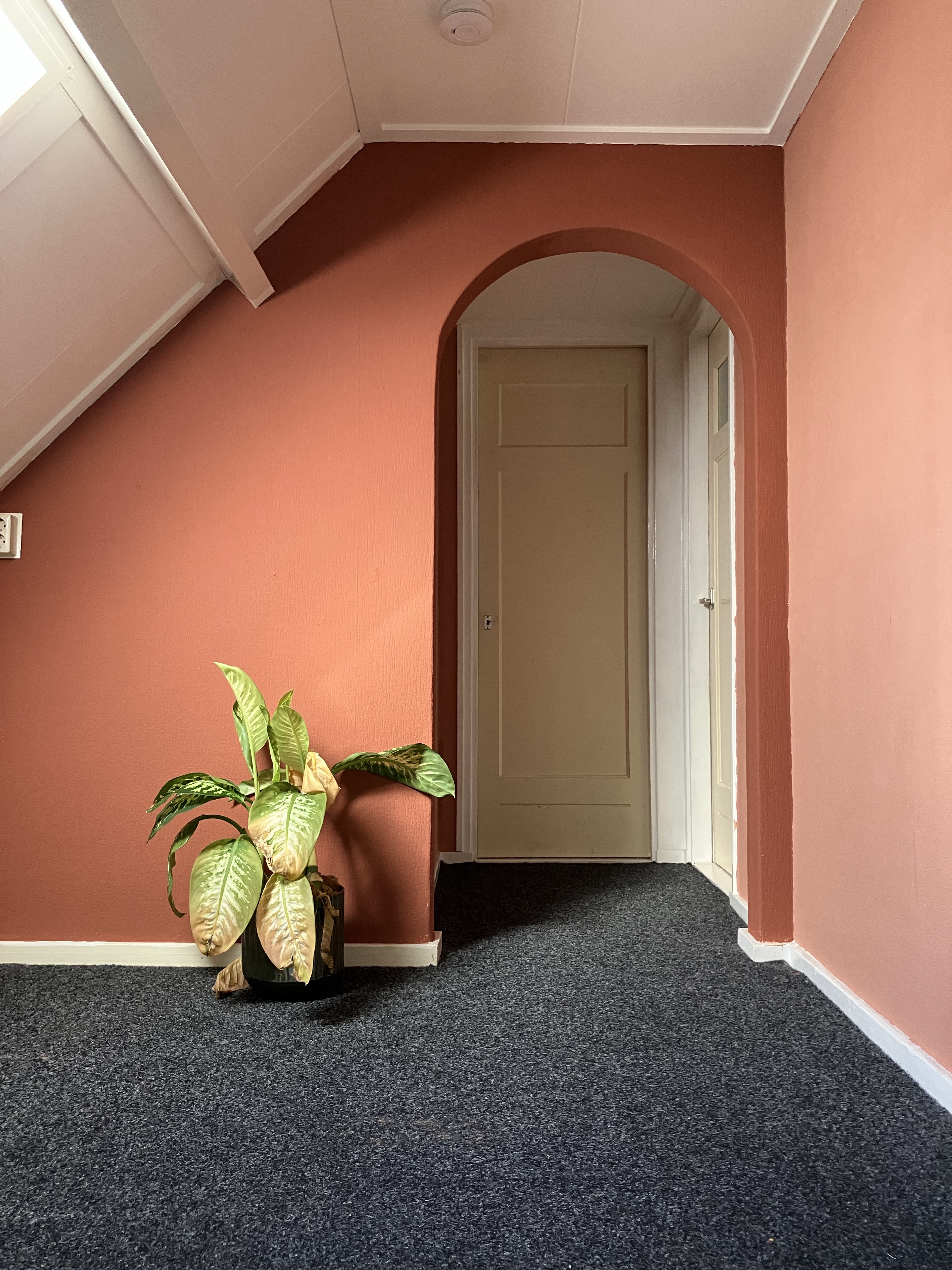 Valckstraat 16A