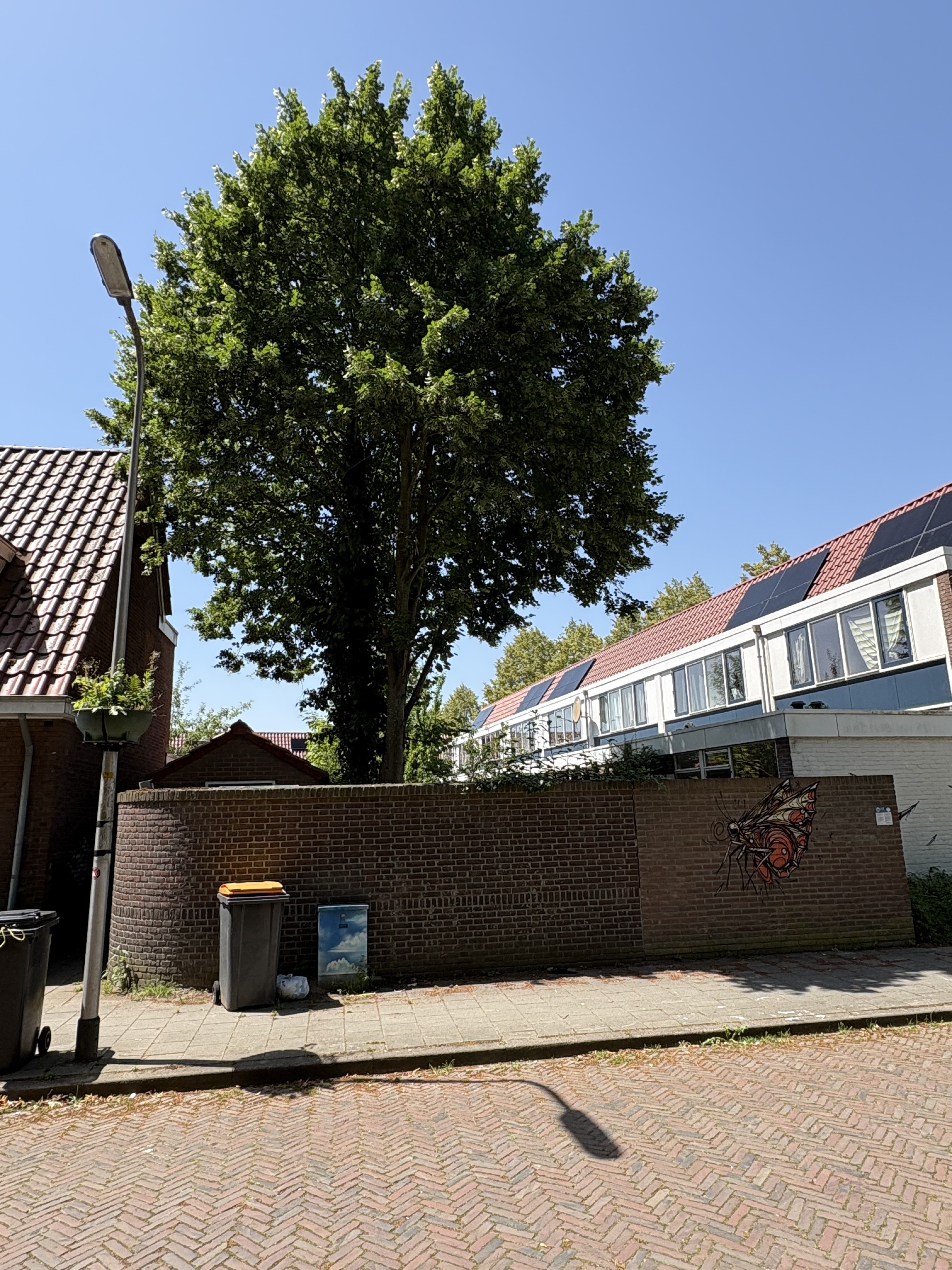 Gooierstraat 56