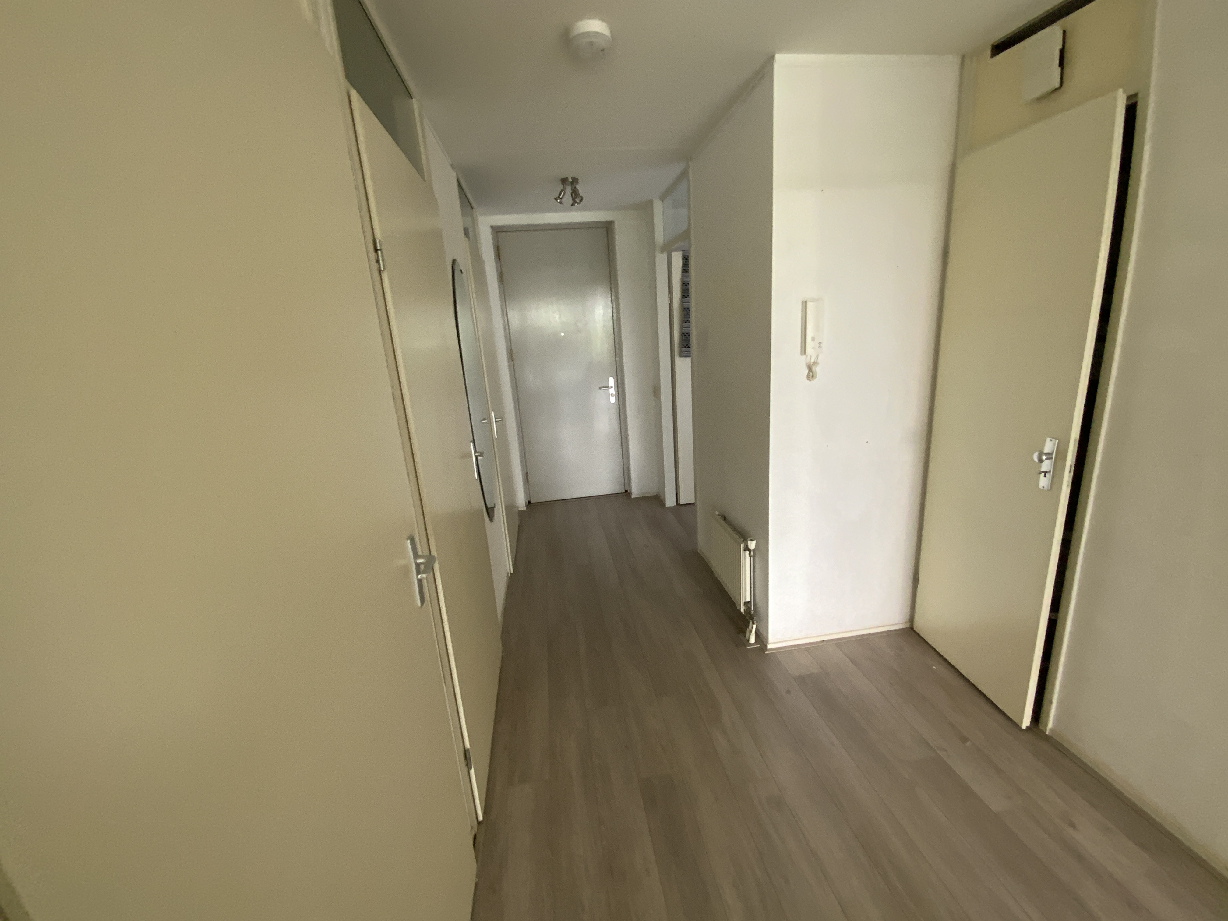 Molenstraat-Centrum 589