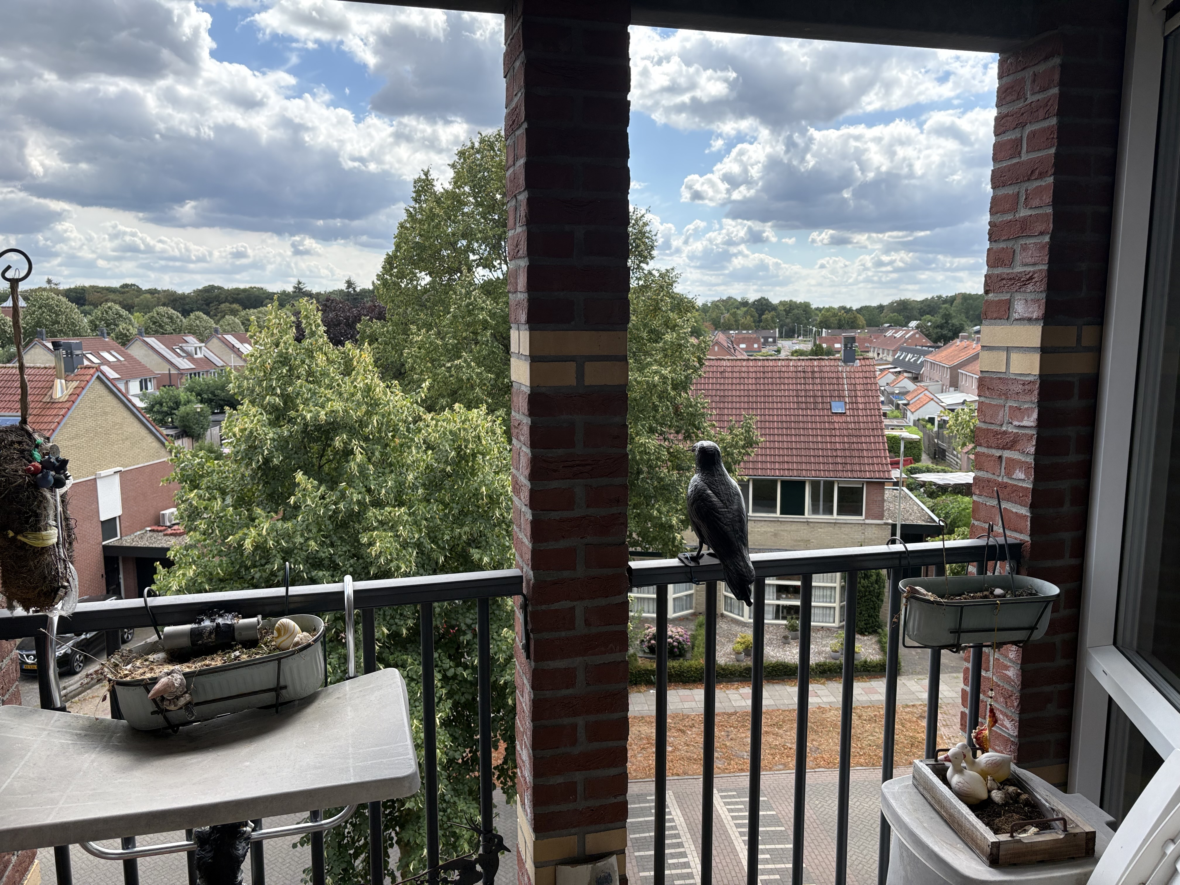Ravelijn 142