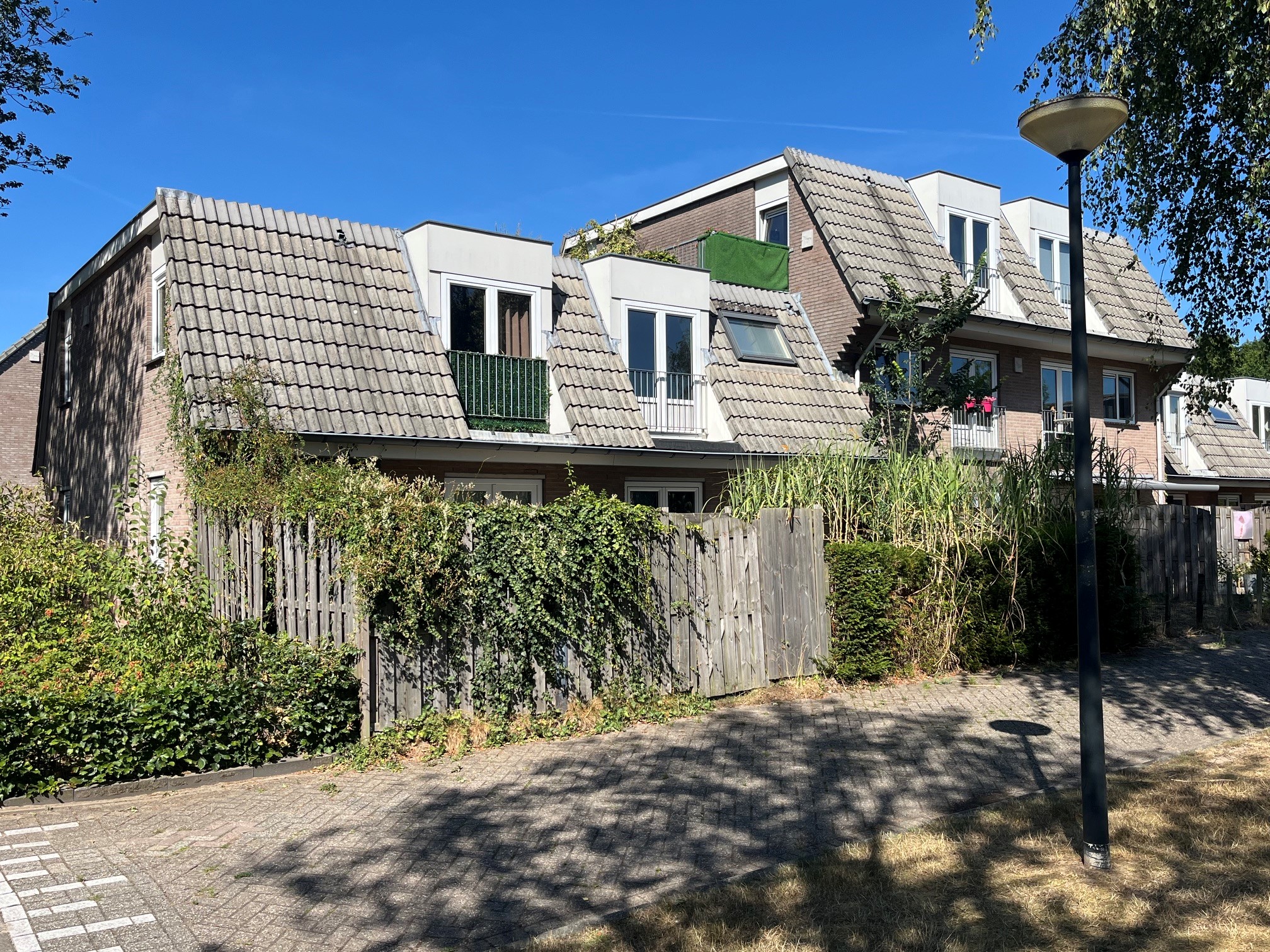 Koningspage 10