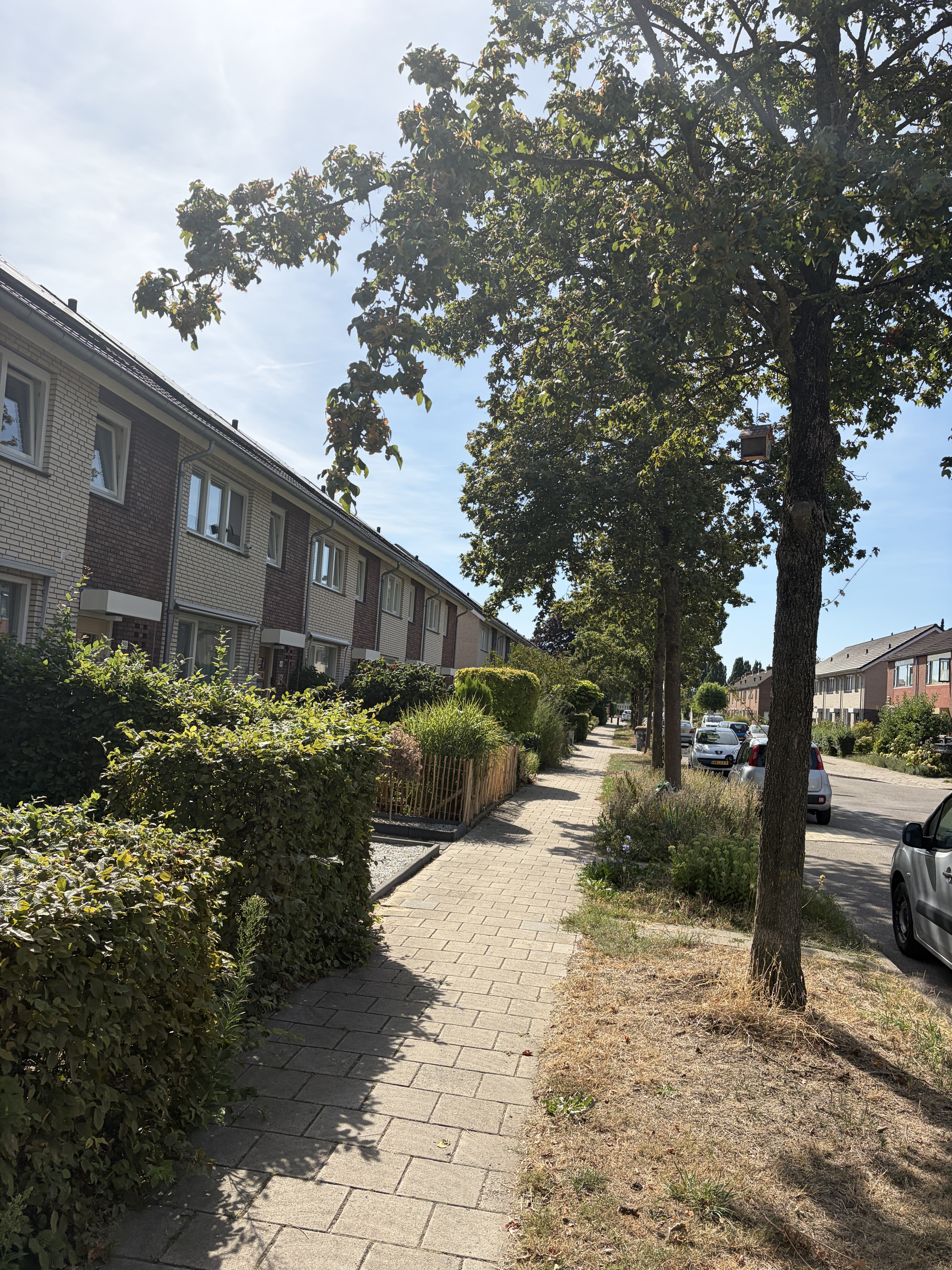 Mezenstraat 50