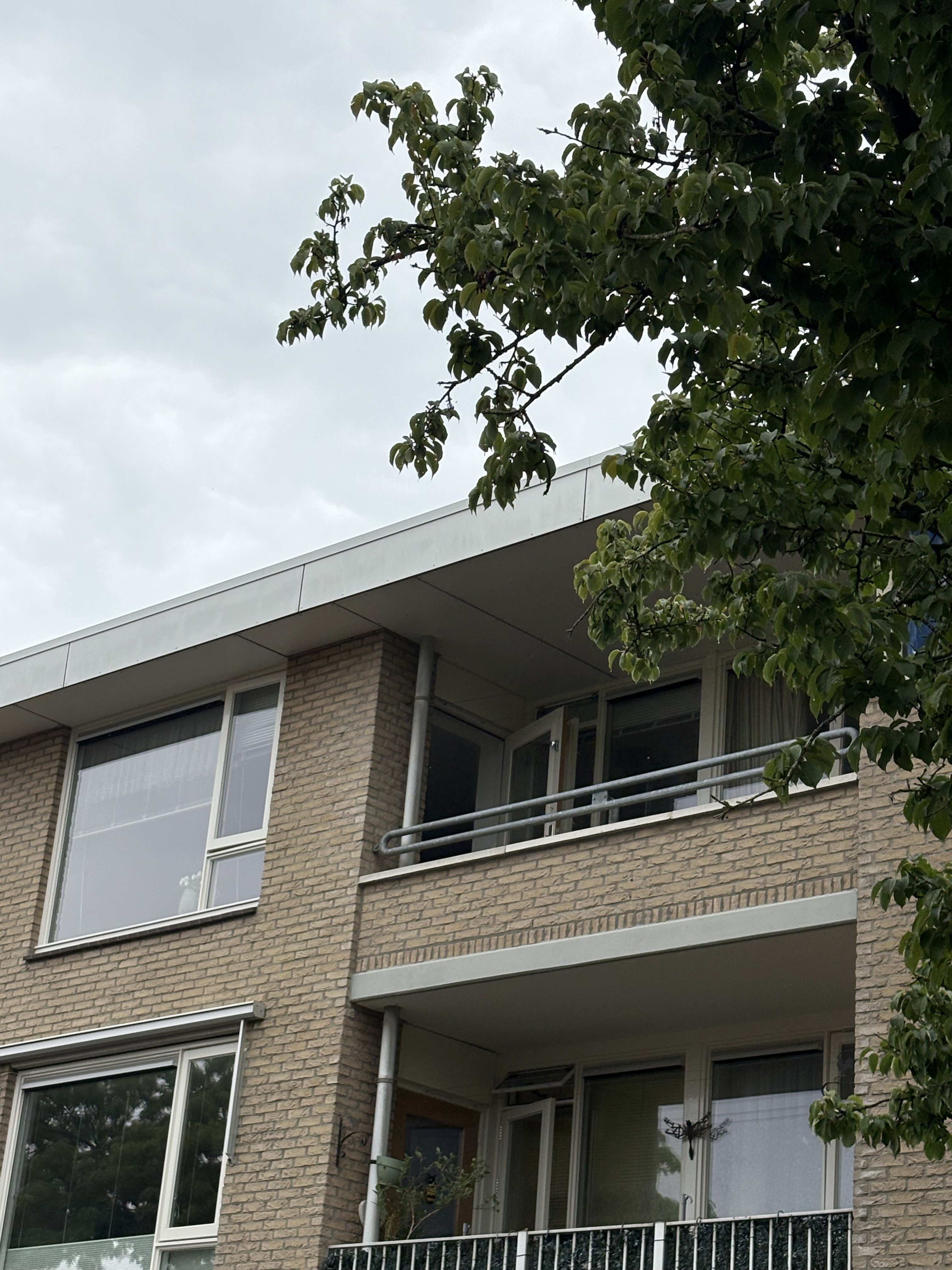 Kunstenaarshoeve 255