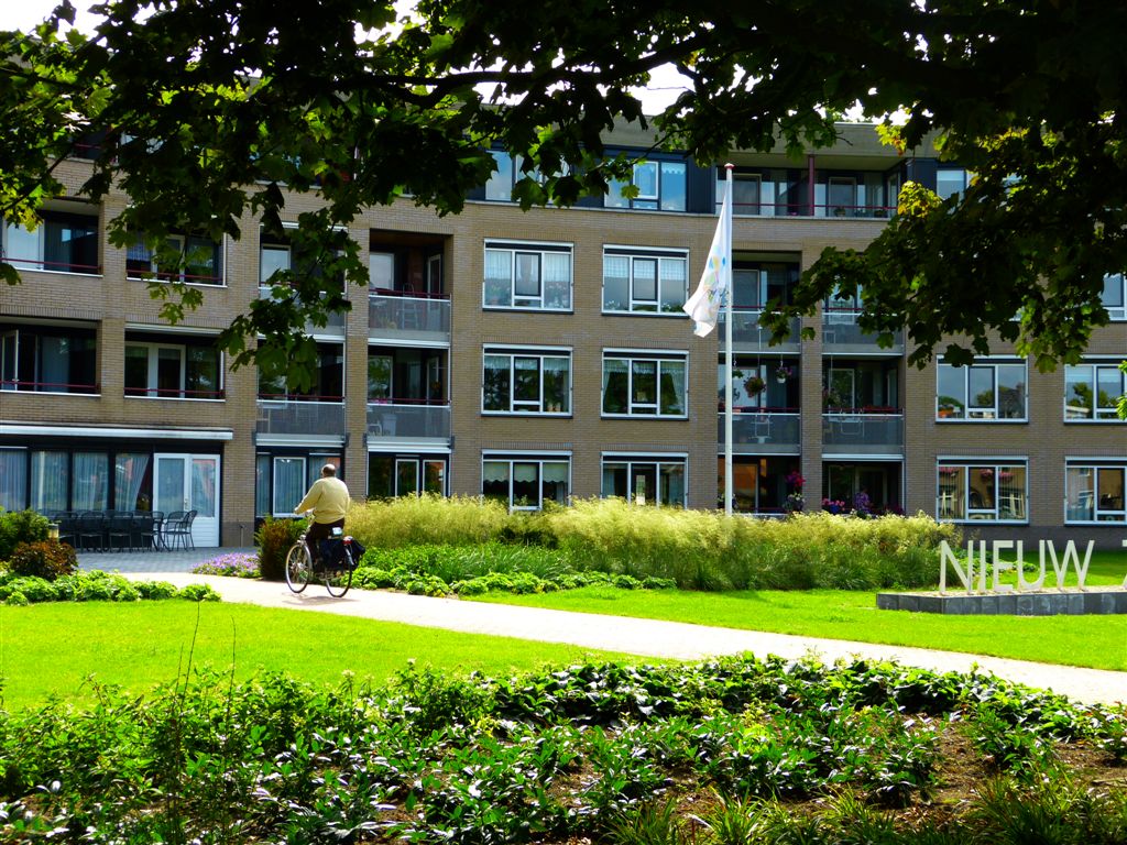 Roekenhof 41