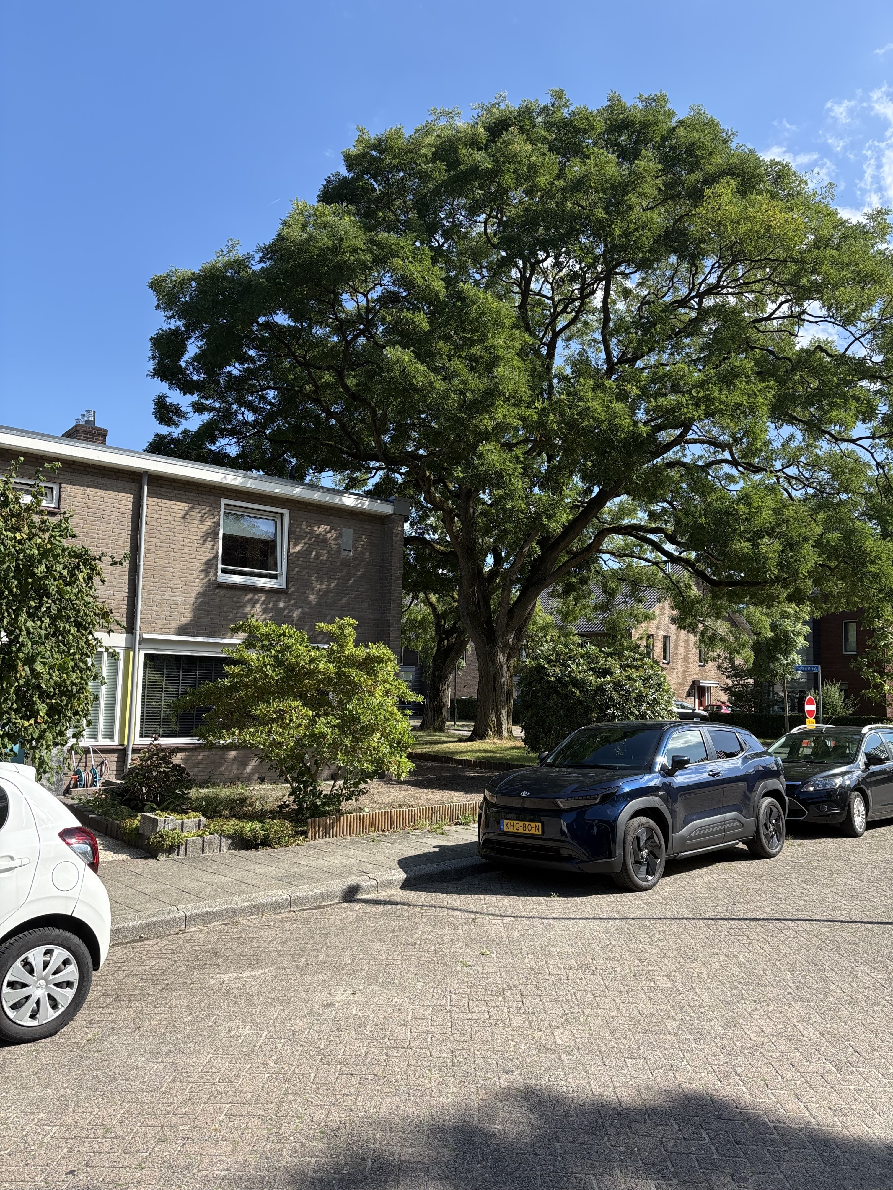 Pasteurstraat 2