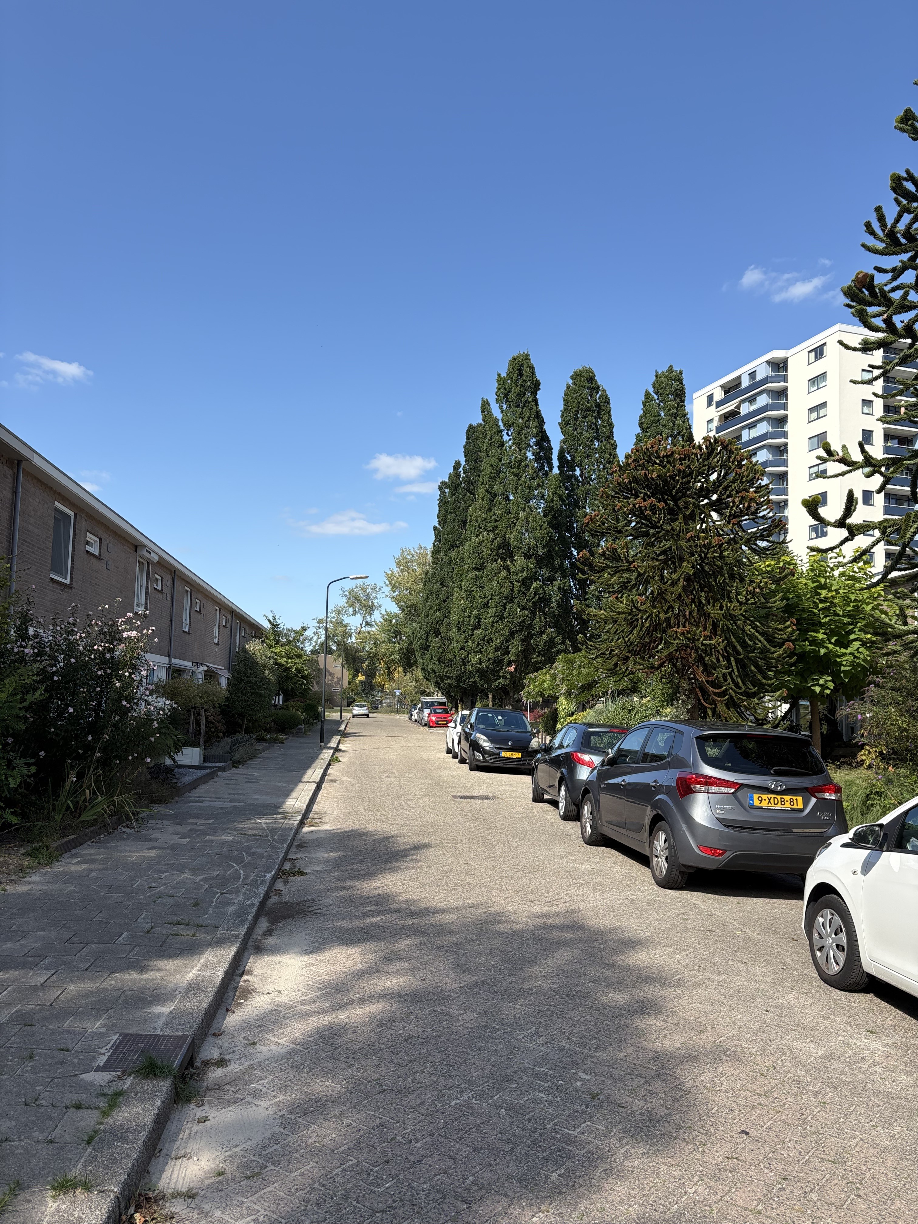 Pasteurstraat 2