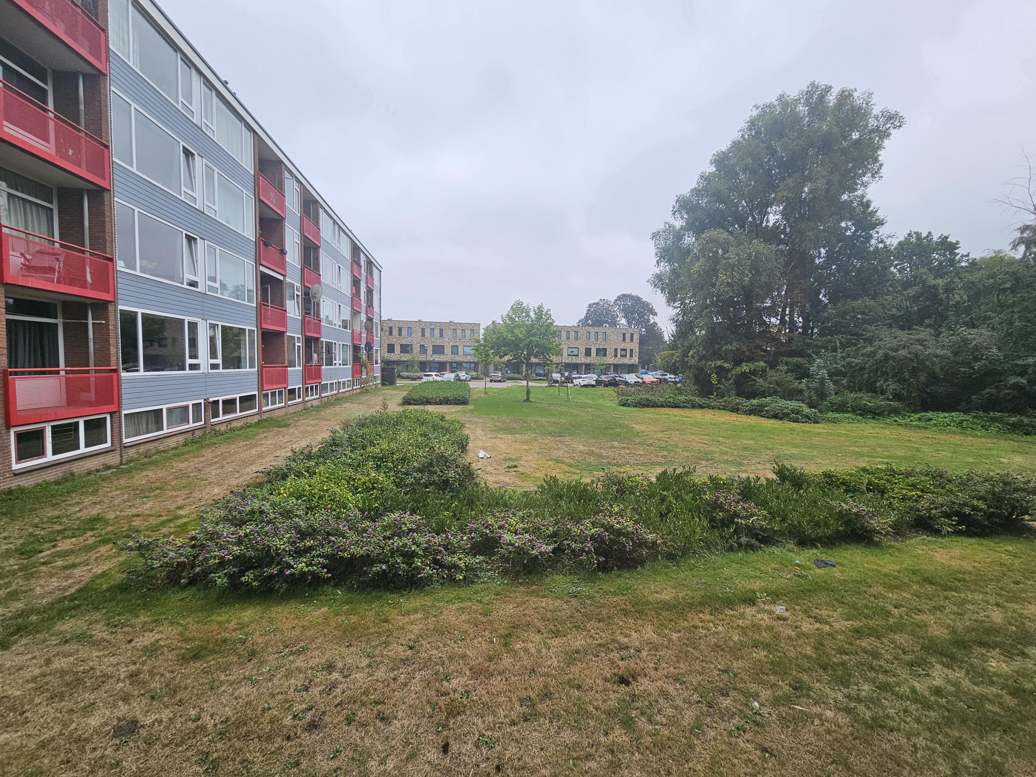 Maasstraat 386