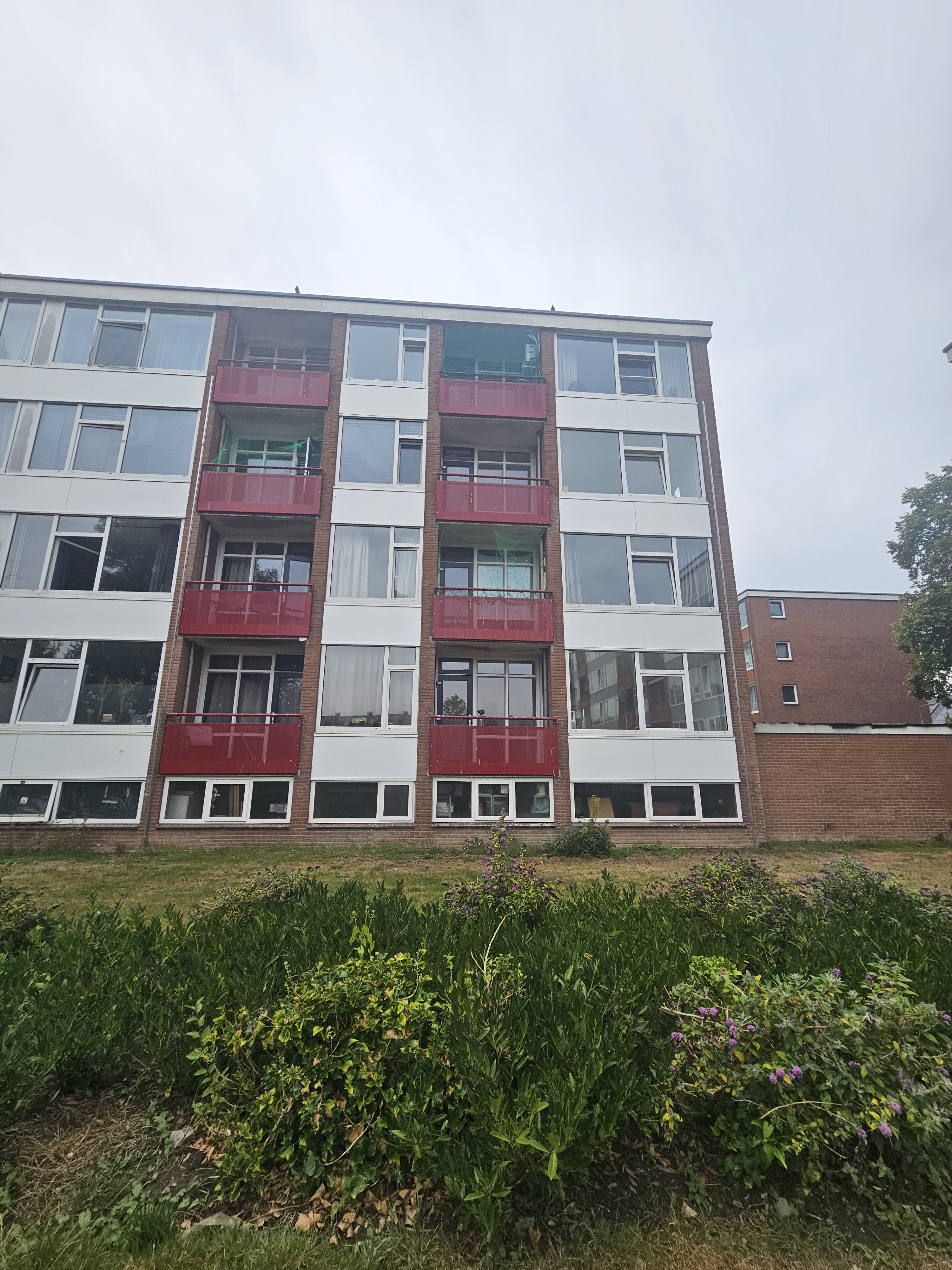 Maasstraat 386