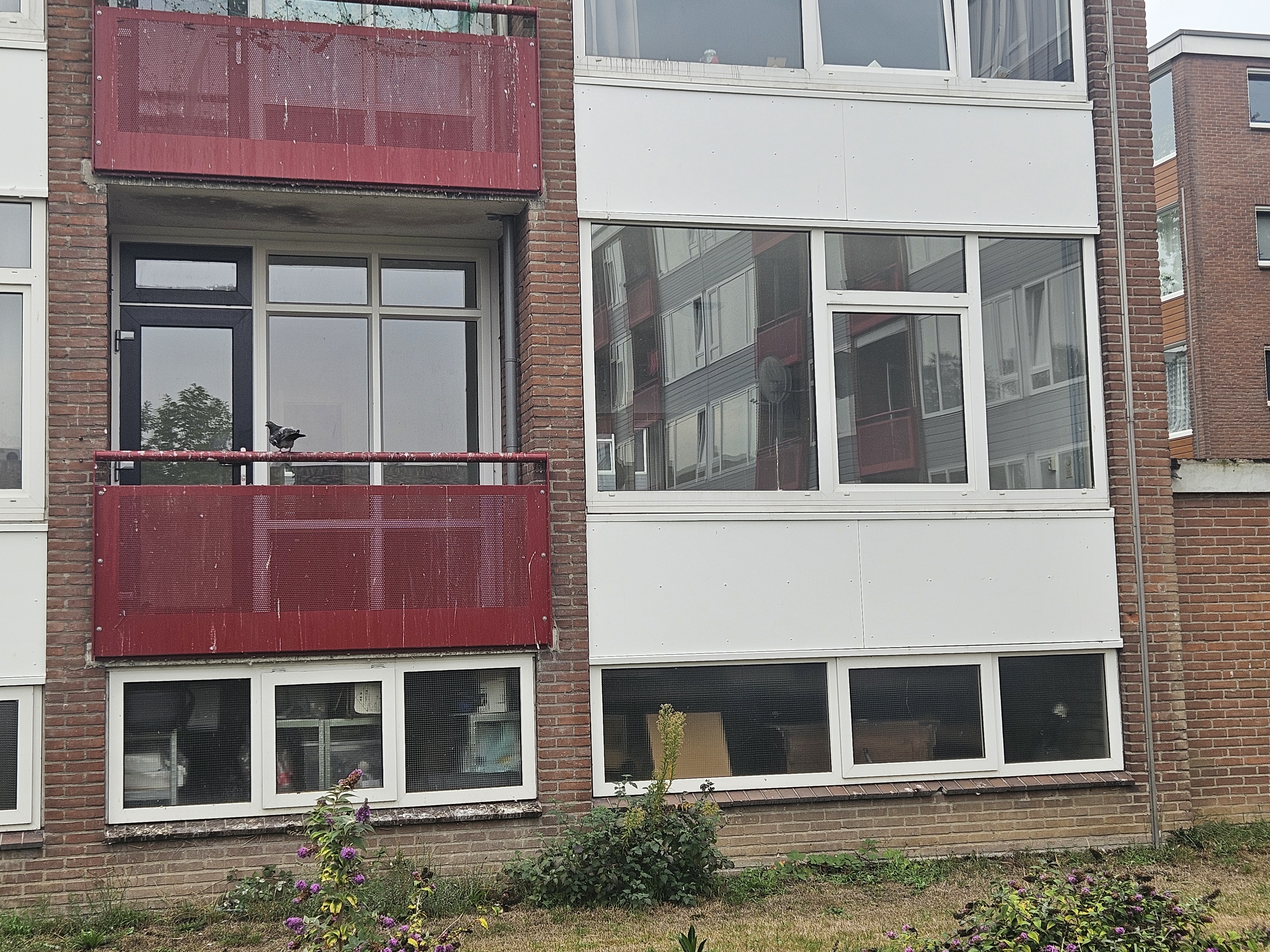 Maasstraat 386