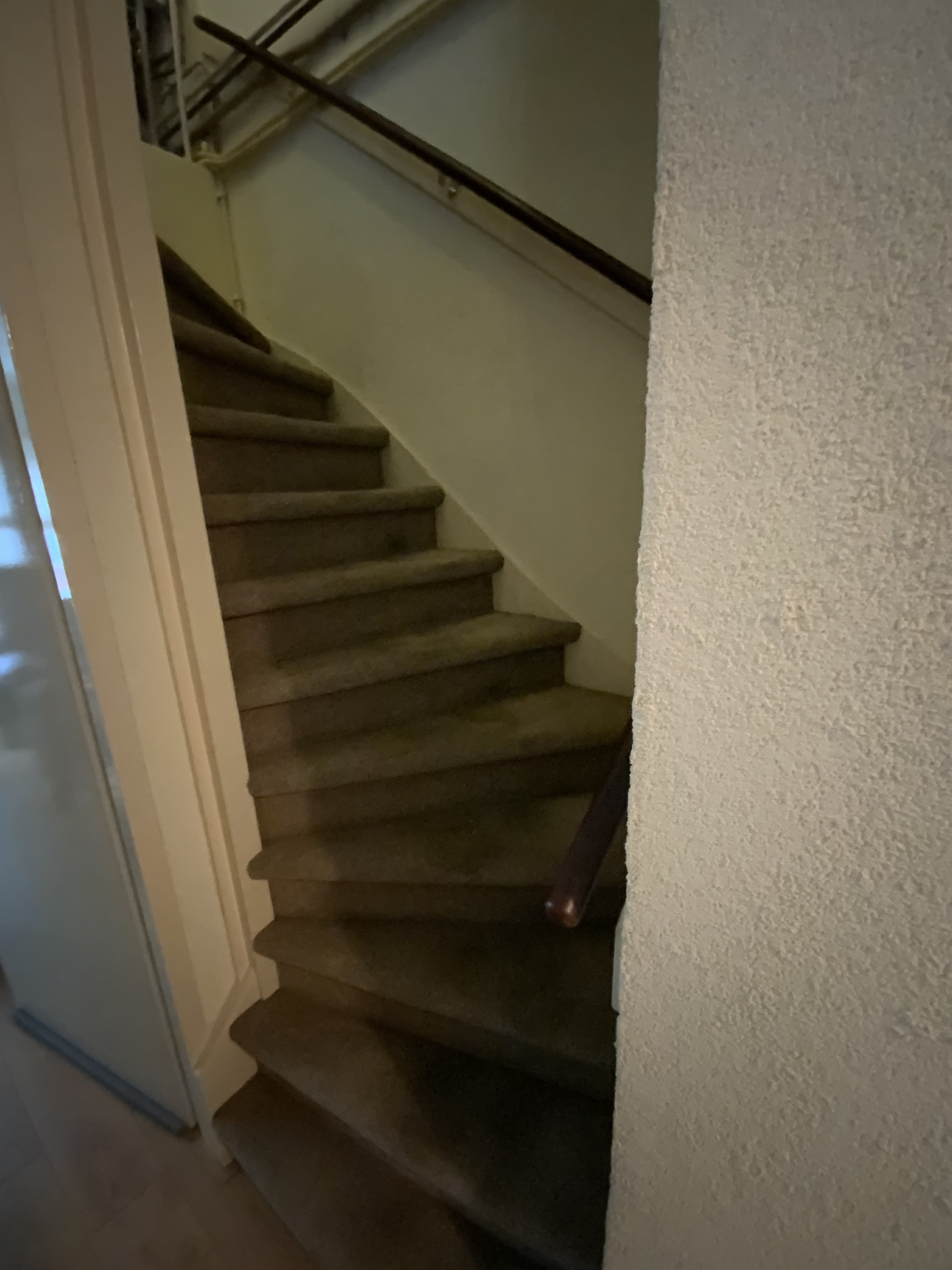 Wolwevershorst 52