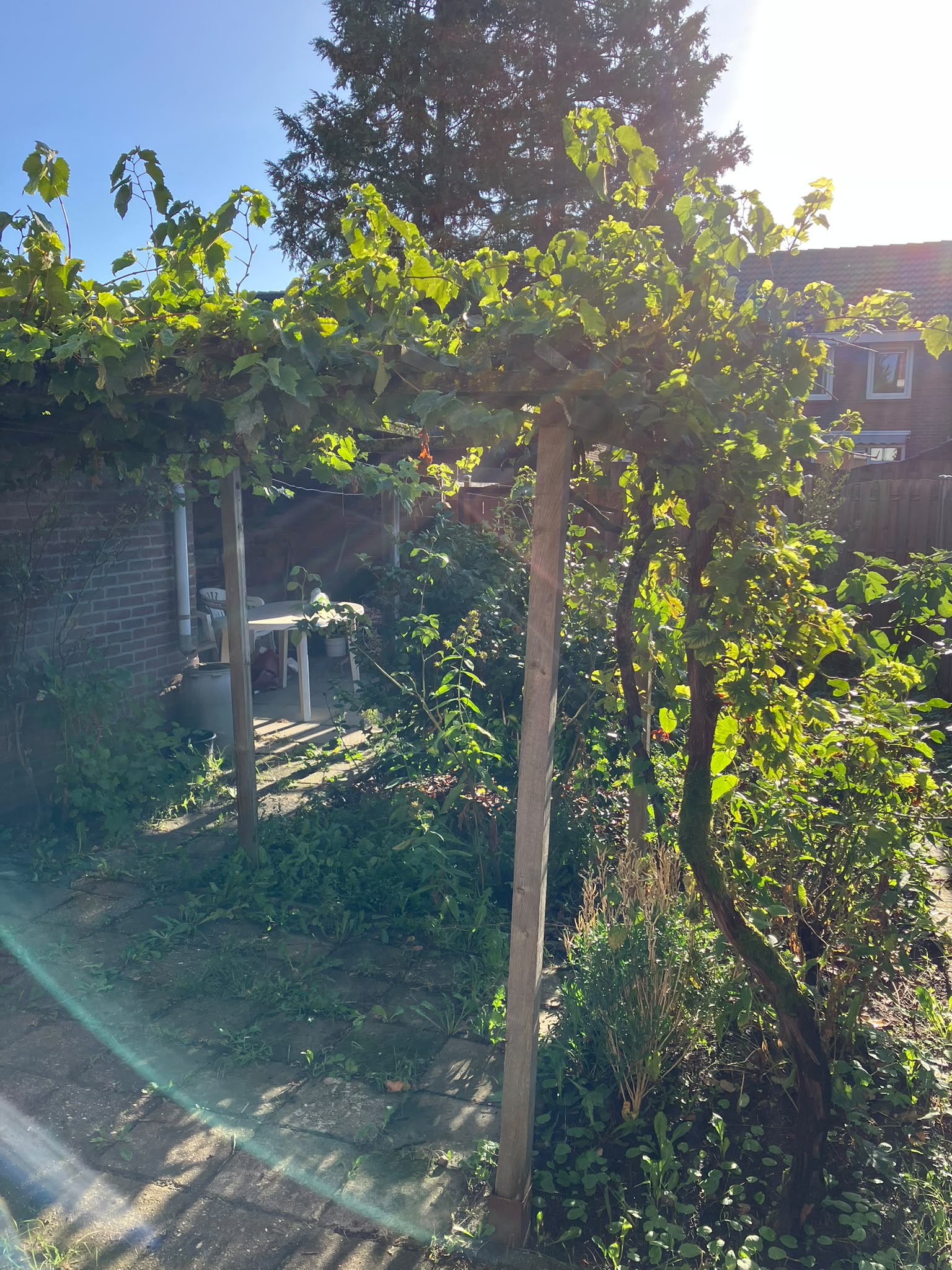 Groen van Prinstererstraat 11