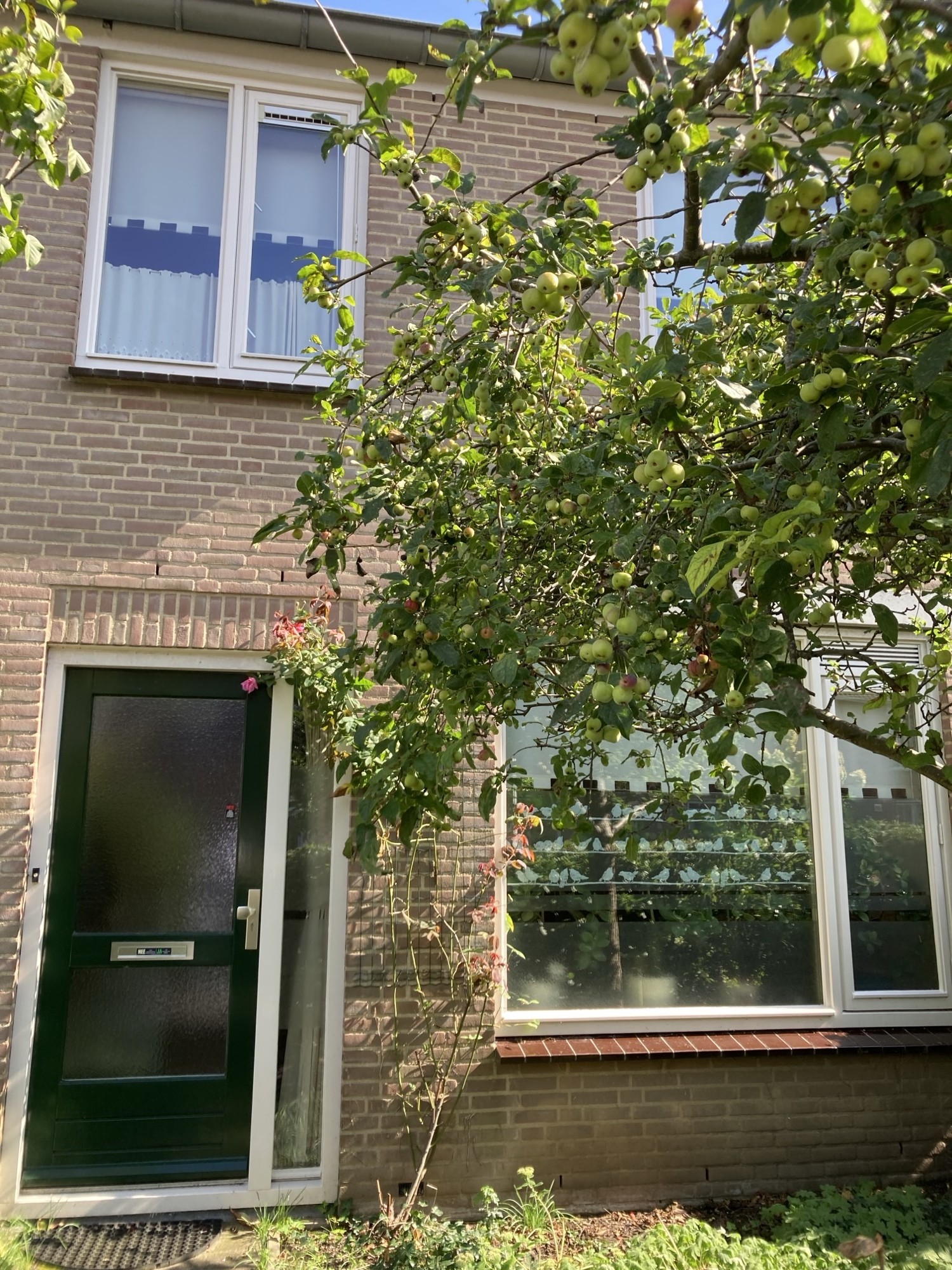 Kruisstraat 51, 7205 BG Zutphen, Nederland