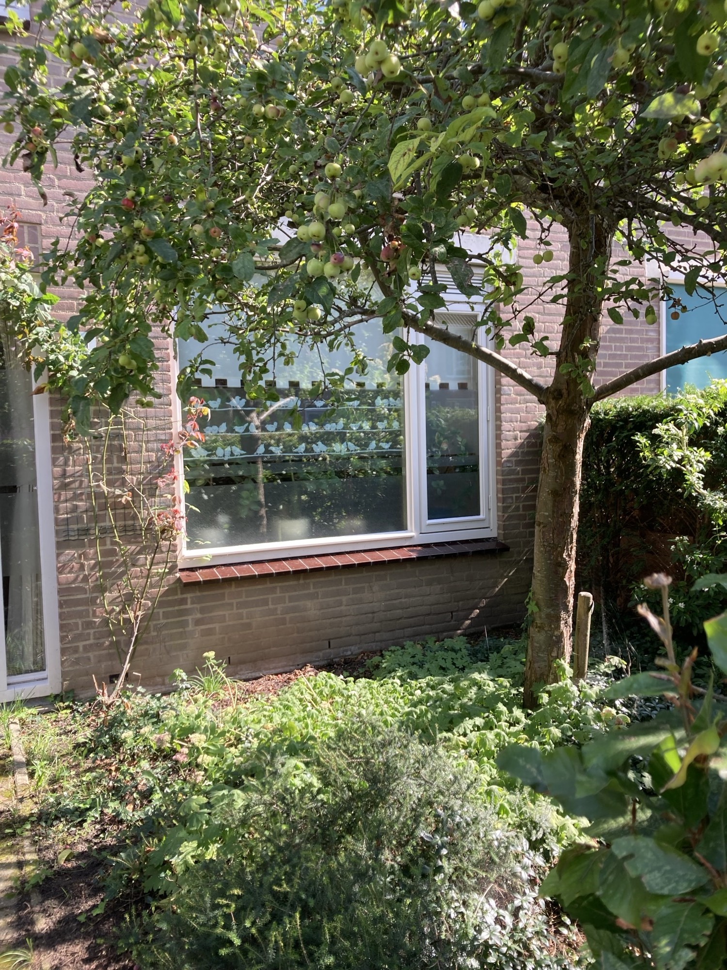 Kruisstraat 51