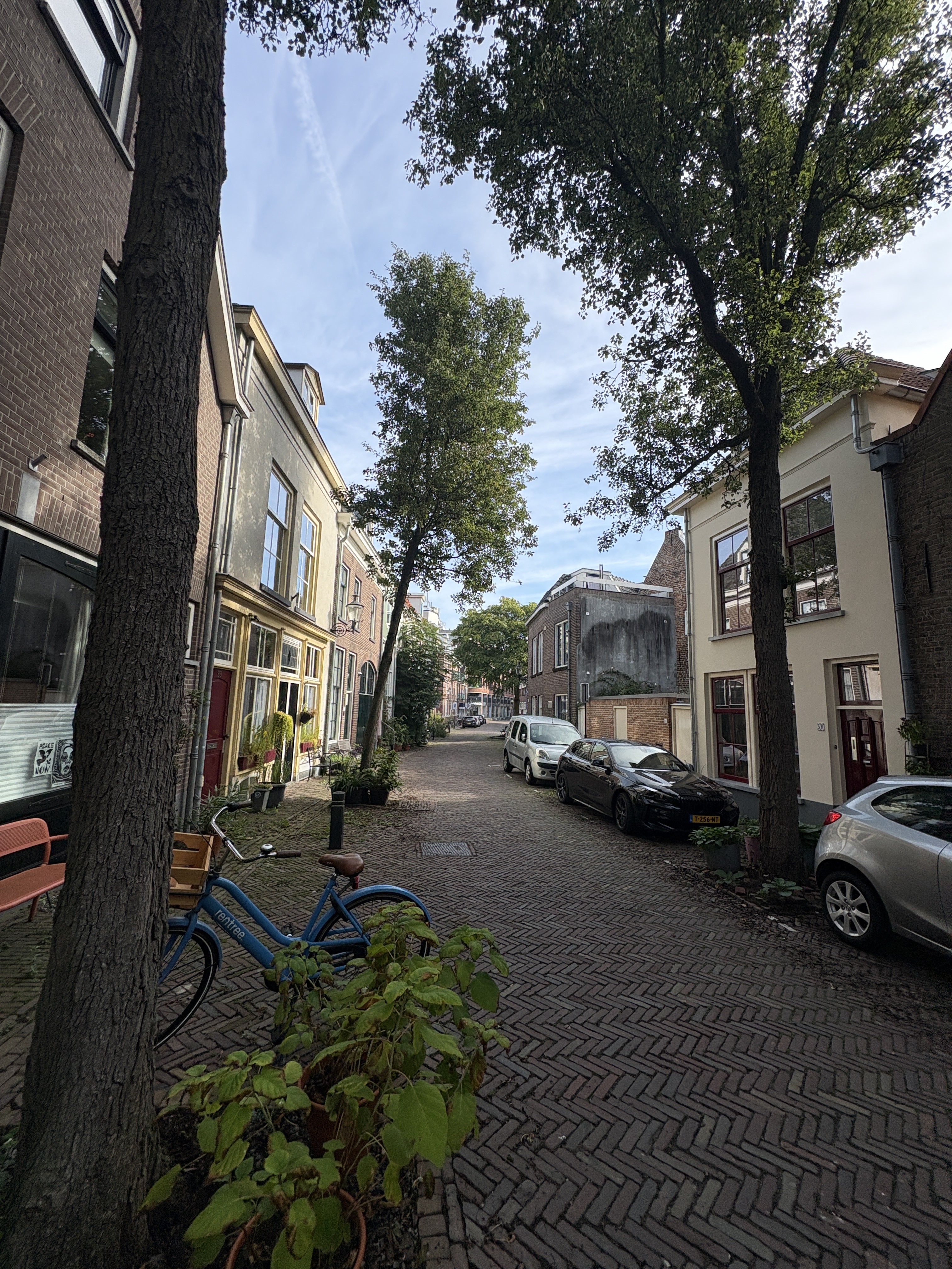 Molenstraat 50